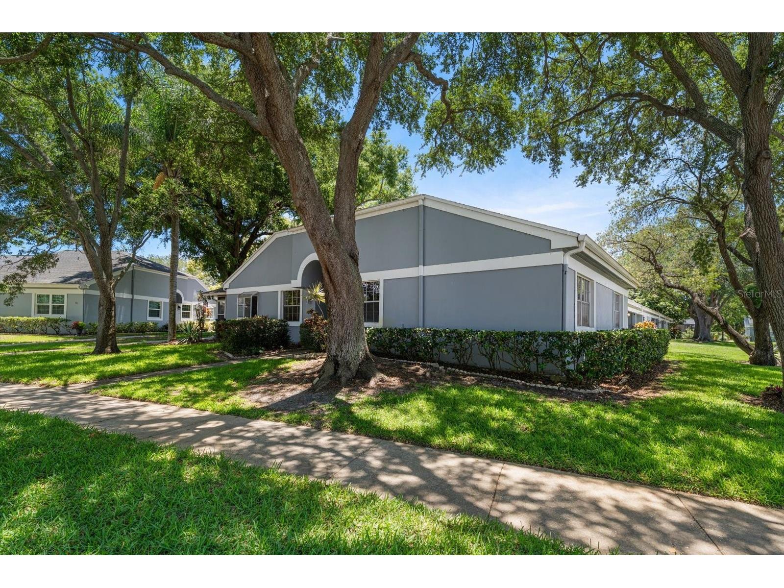 1334 Wickford Street Safety Harbor FL 34695 TB8511537 image33