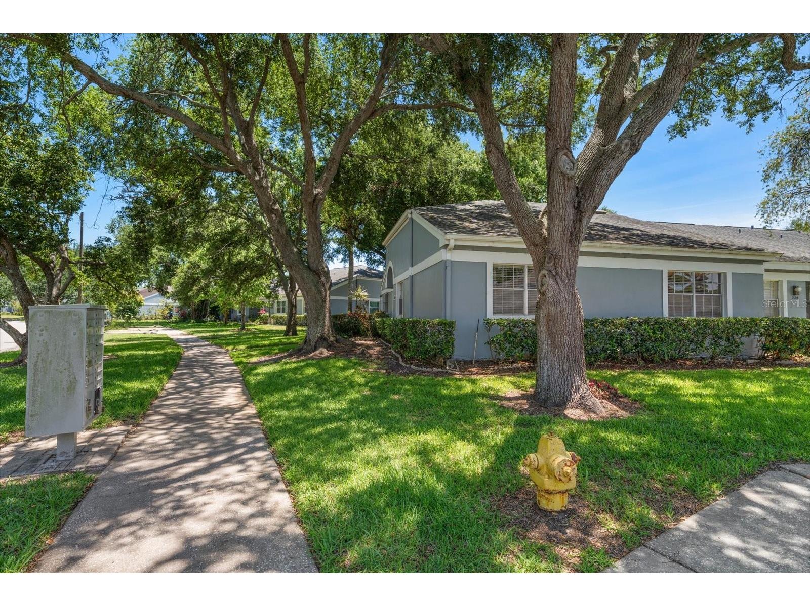 1334 Wickford Street Safety Harbor FL 34695 TB8511537 image34
