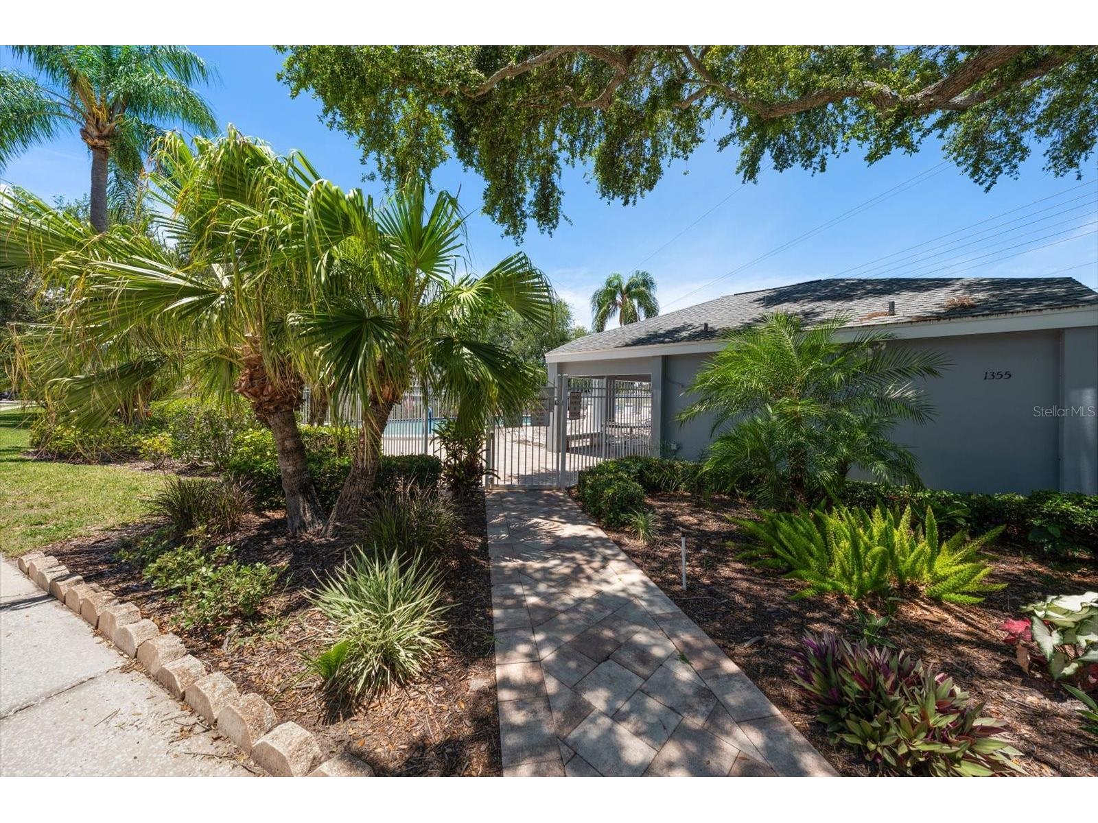 1334 Wickford Street Safety Harbor FL 34695 TB8511537 image35