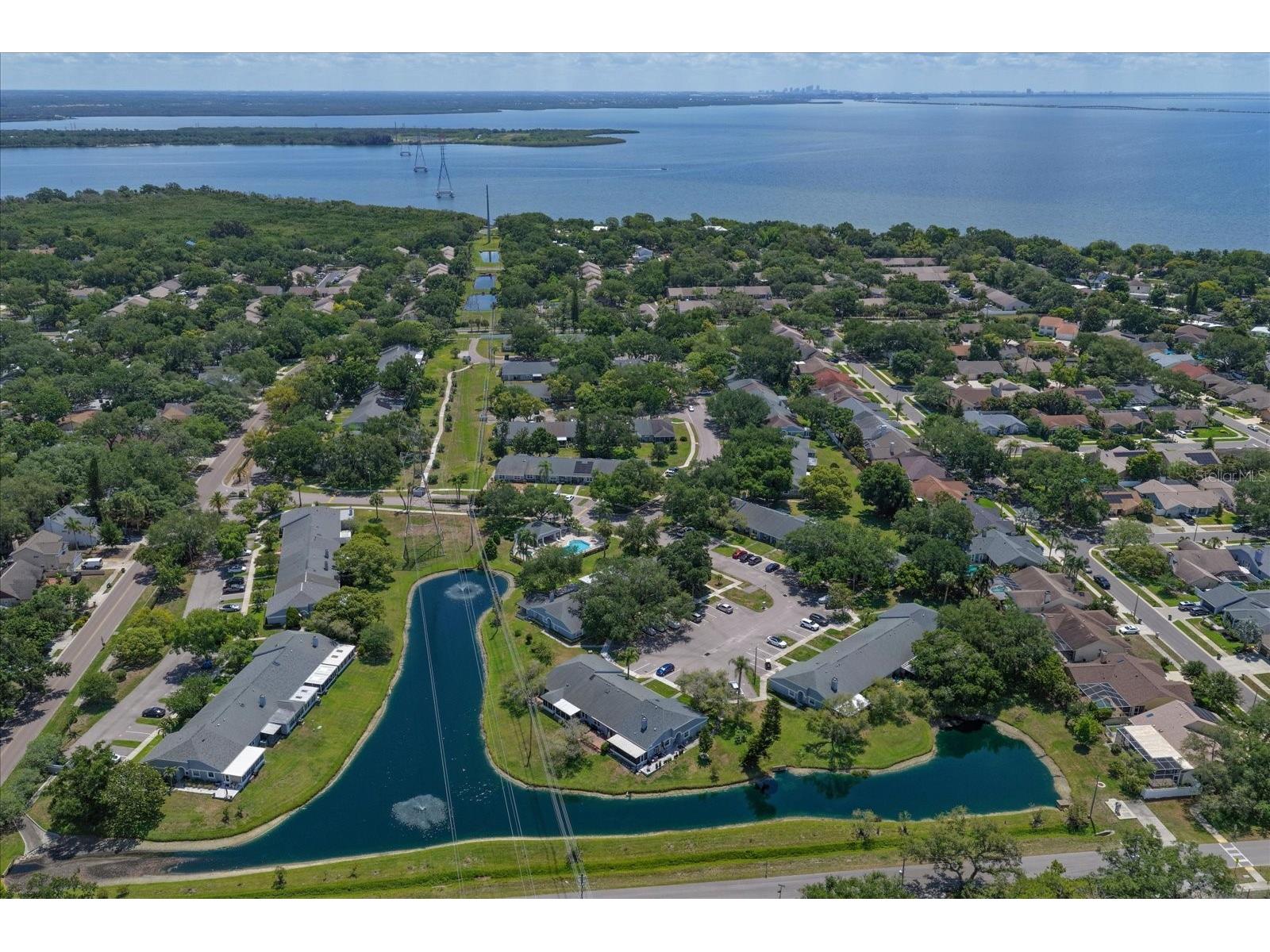 1334 Wickford Street Safety Harbor FL 34695 TB8511537 image38