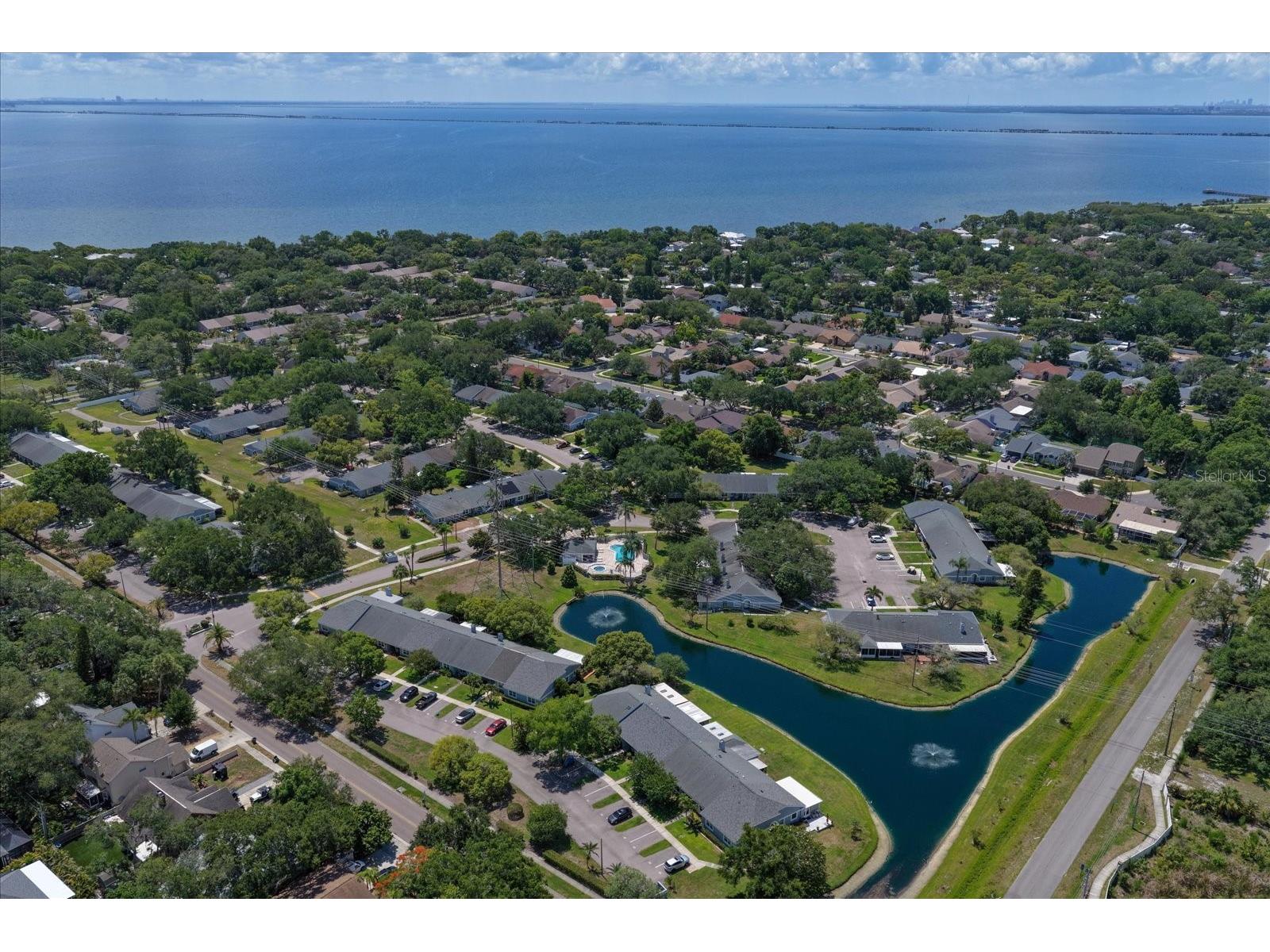 1334 Wickford Street Safety Harbor FL 34695 TB8511537 image39