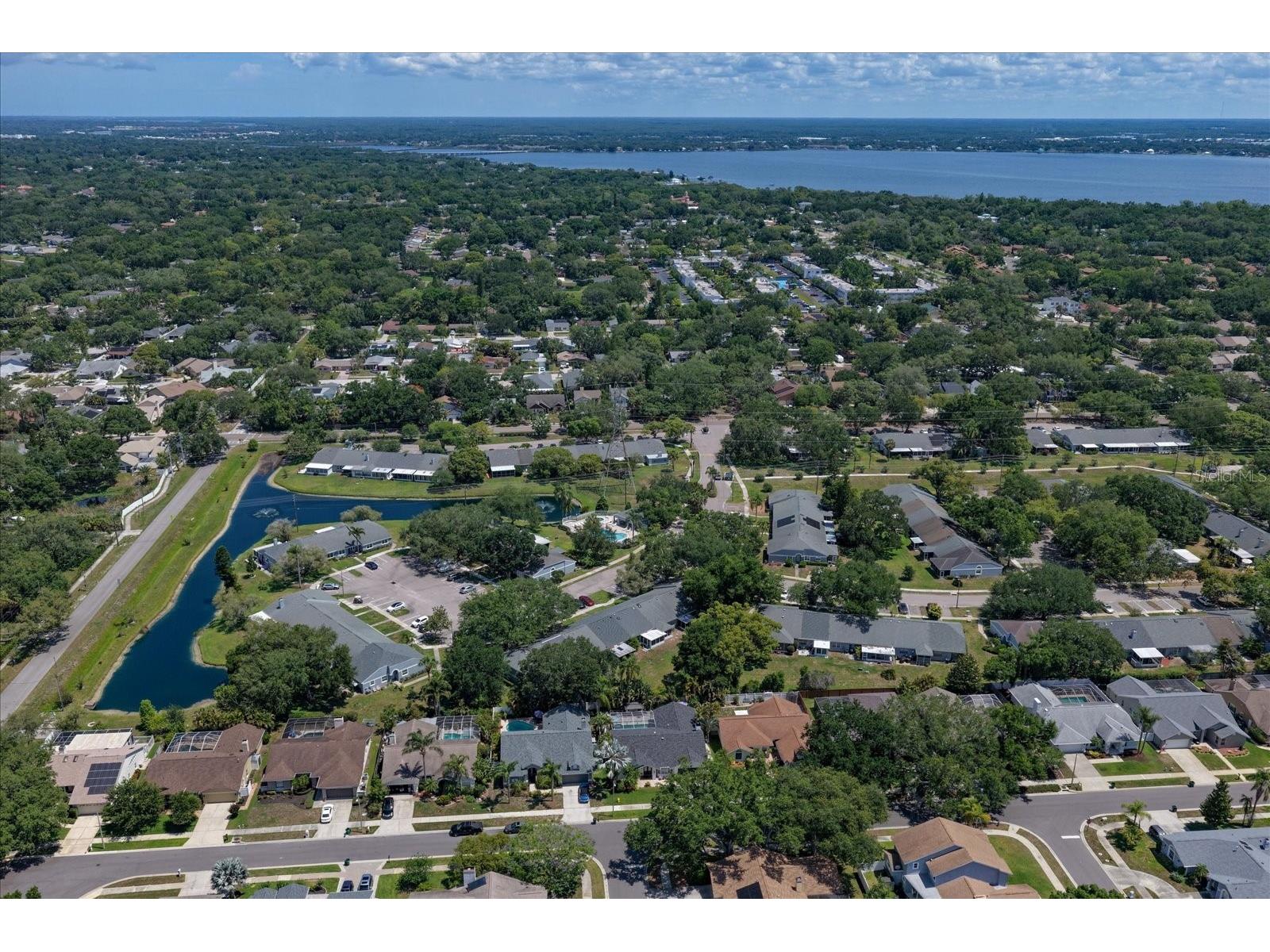1334 Wickford Street Safety Harbor FL 34695 TB8511537 image42