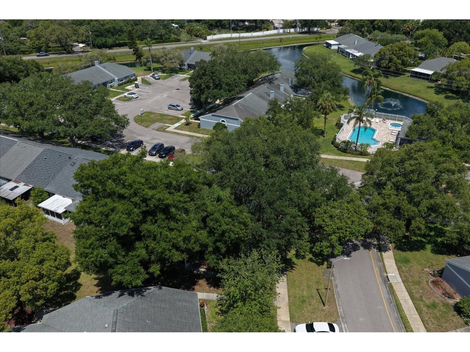 1334 Wickford Street Safety Harbor FL 34695 TB8511537 image43