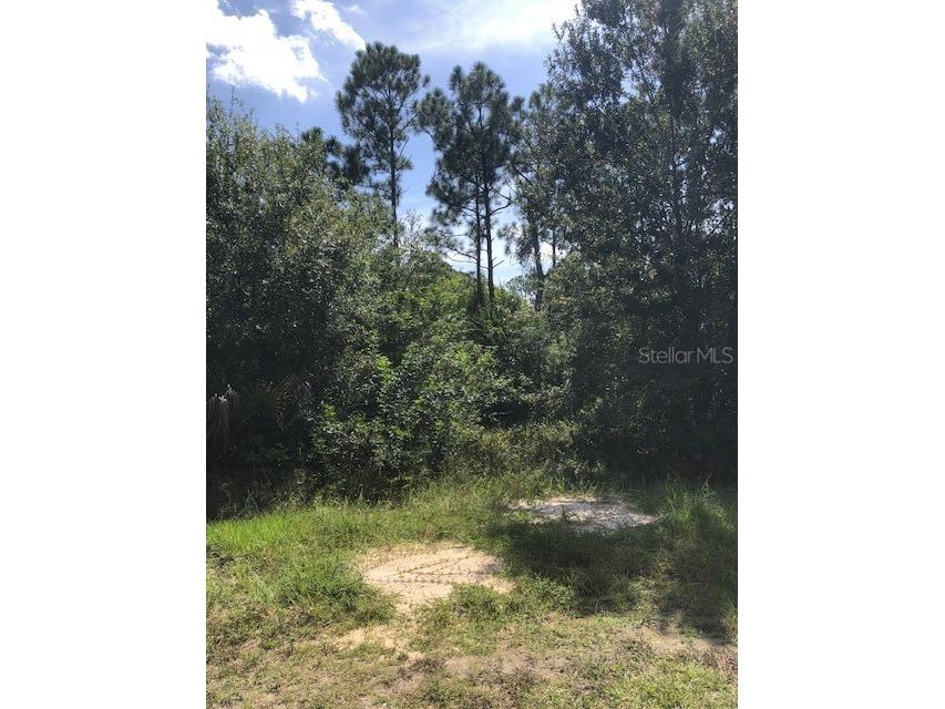 13340 Cappy Terrace Punta Gorda FL 33955 A4663619 image2