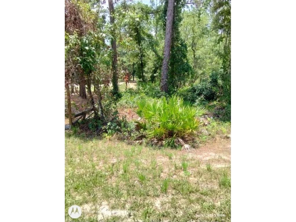 13342 Schick Avenue Weeki Wachee FL 34614 S5091675 image1