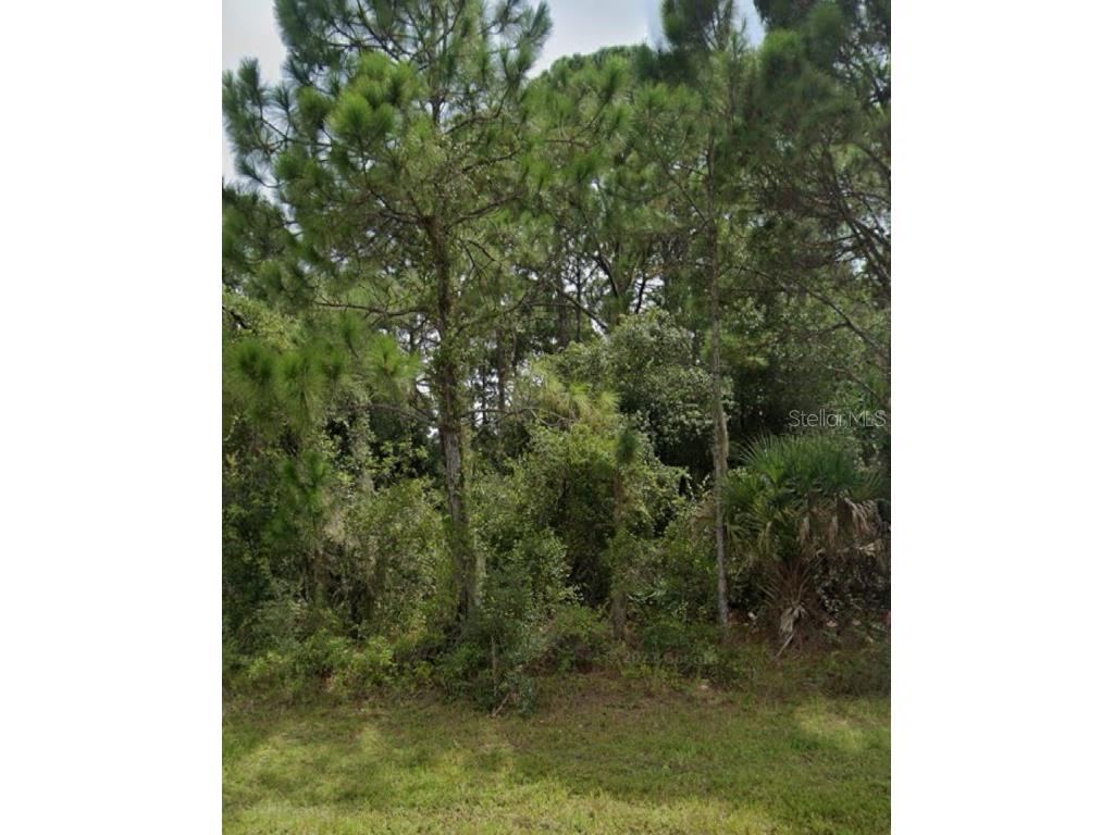 13343 Chamberlain Boulevard Port Charlotte FL 33953 A4626100 image2