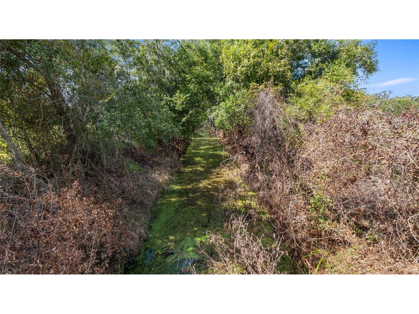 13343 Cr 727 Webster FL 33597 G5103203 image30