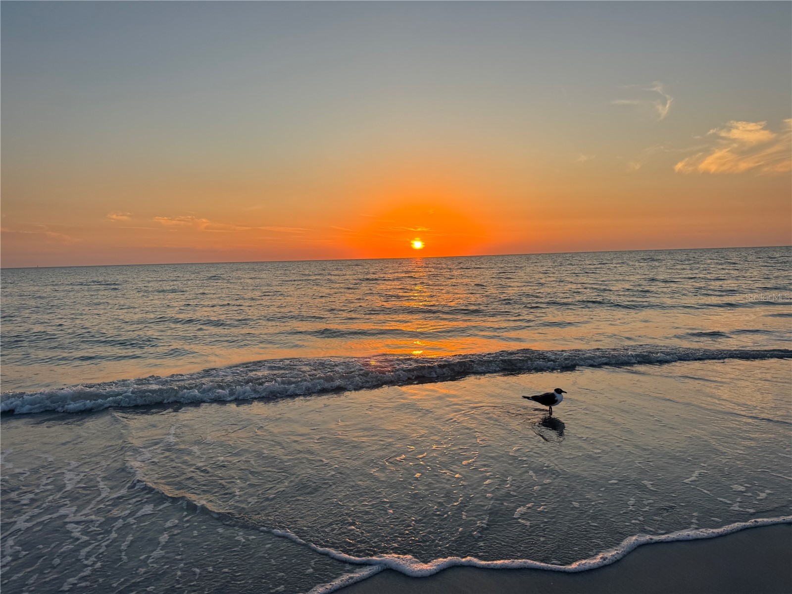 13343 Gulf Boulevard #14 Madeira Beach FL 33708 TB8507789 image34