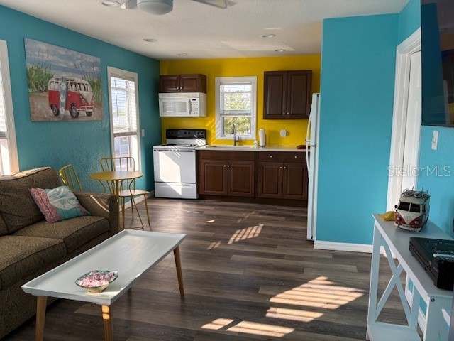 13343 Gulf Boulevard #D14 Saint Petersburg FL 33708 TB8491470 image11