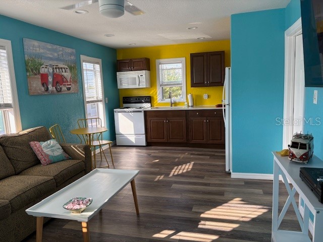 13343 Gulf Boulevard #D14 Saint Petersburg FL 33708 TB8491470 image7