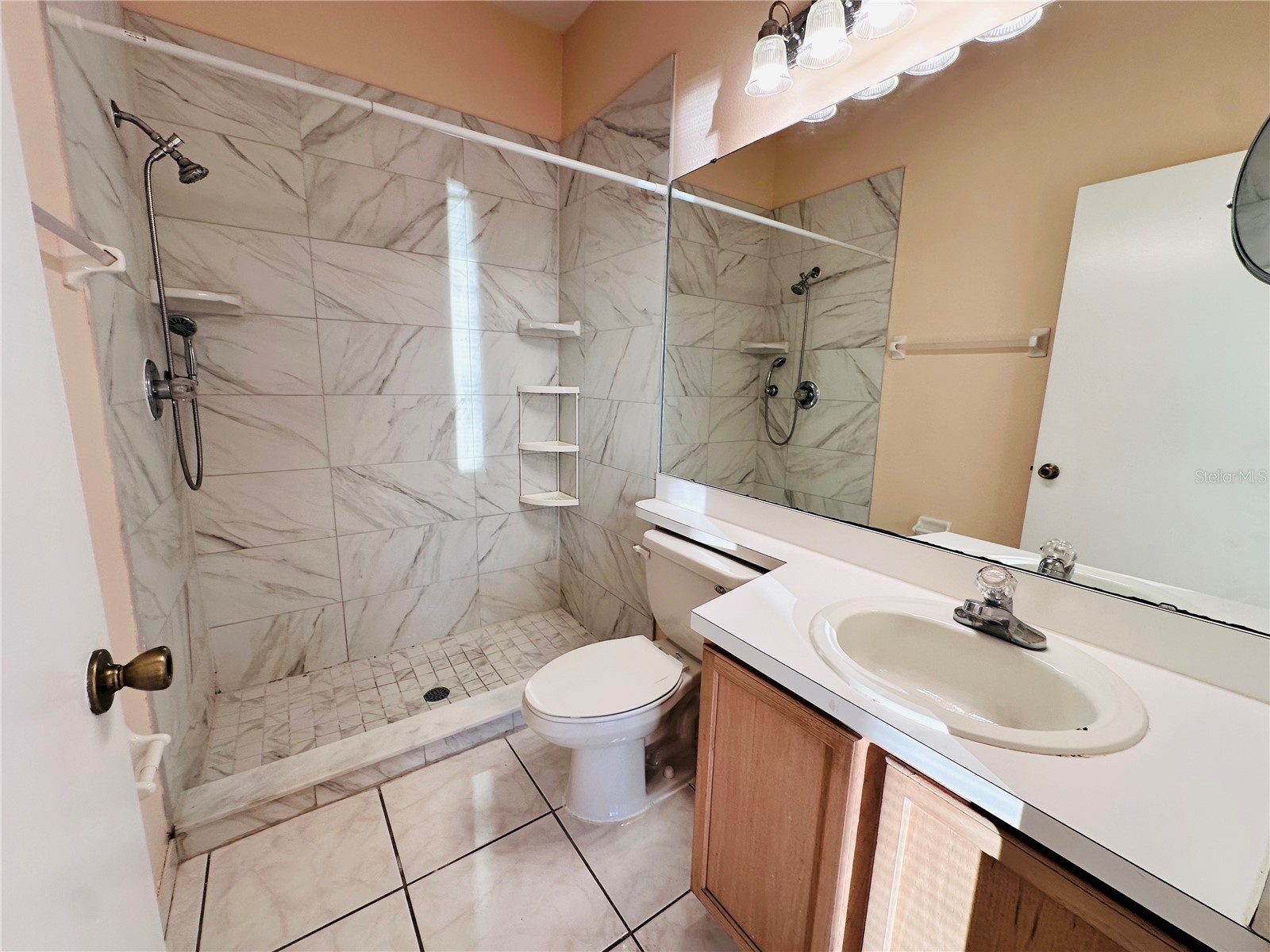 13343 Summerton Drive Orlando FL 32824 S5145571 image9