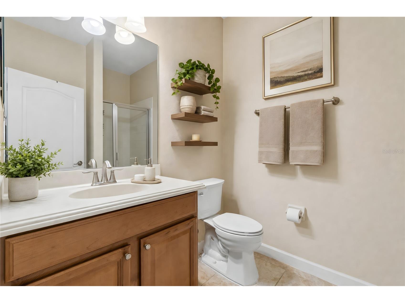 13344 Graham Yarden Riverview FL 33579 O6418315 image24