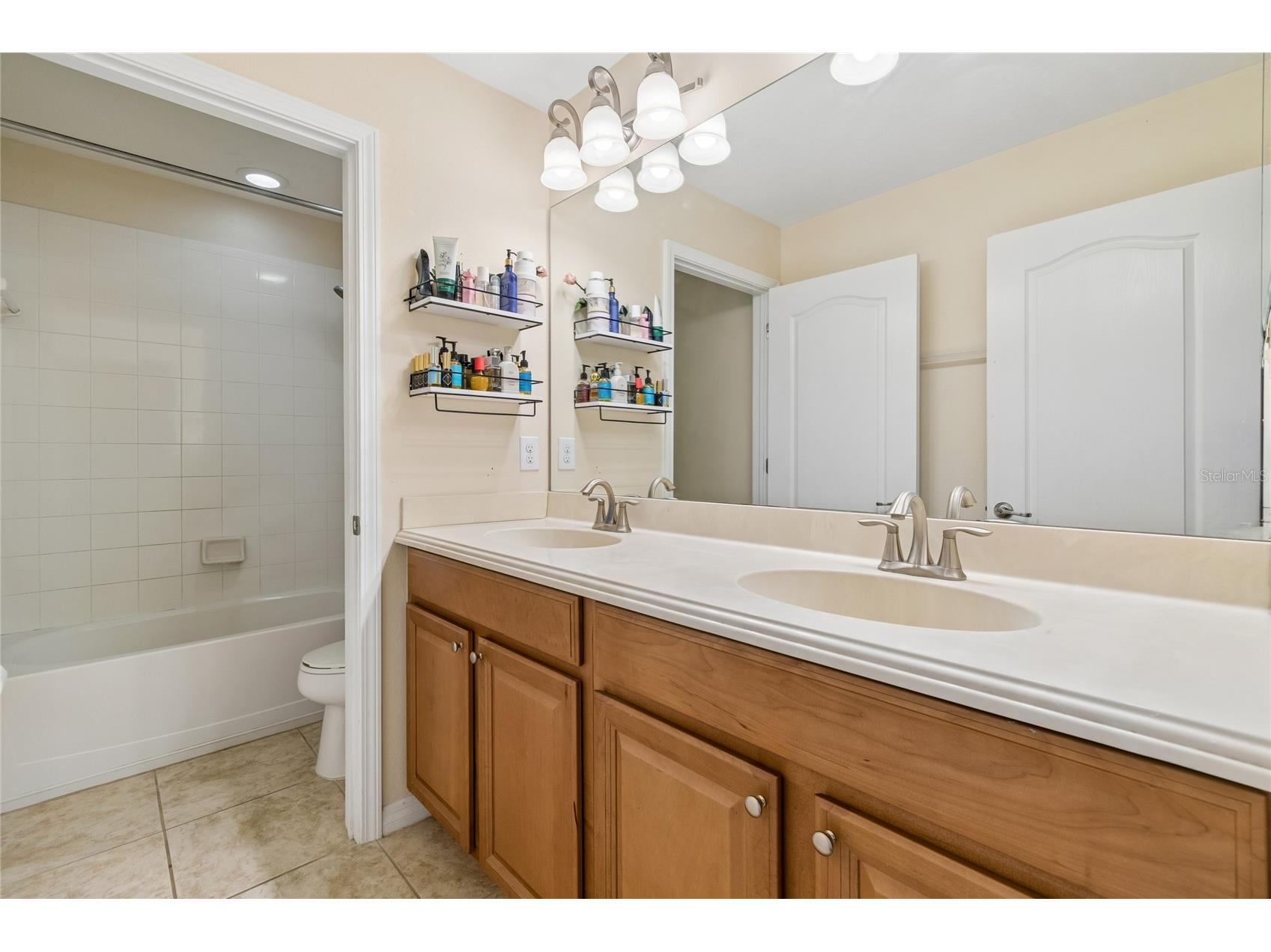 13344 Graham Yarden Riverview FL 33579 O6418315 image30