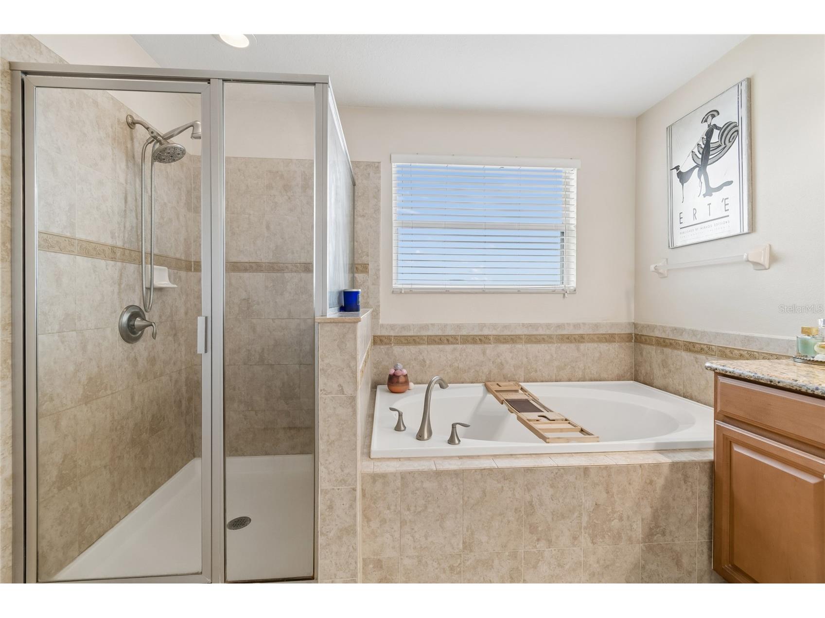 13344 Graham Yarden Riverview FL 33579 O6418315 image34