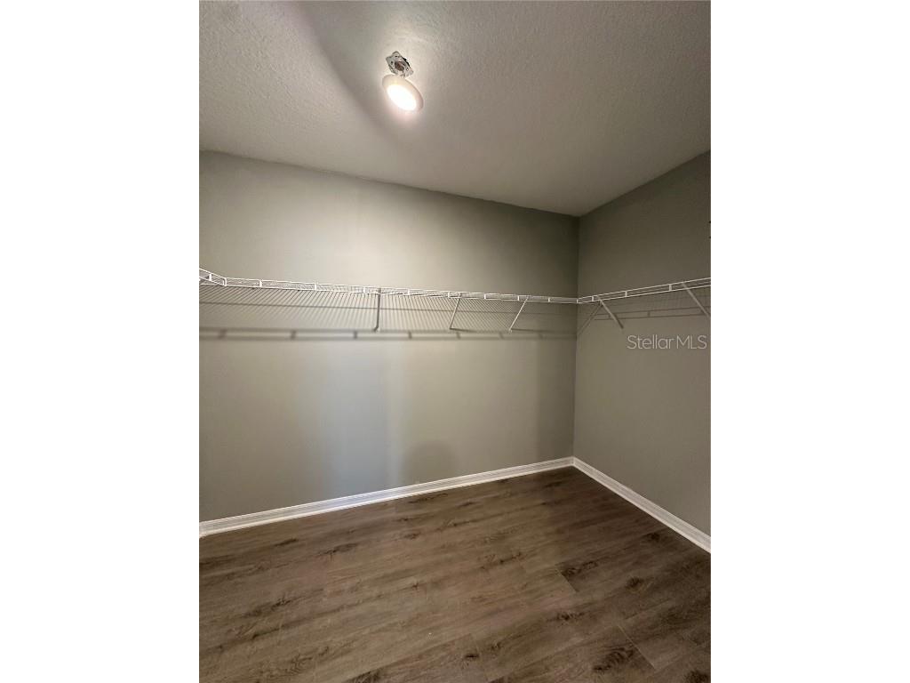 13344 Great Plains Drive Riverview FL 33579 O6305403 image8