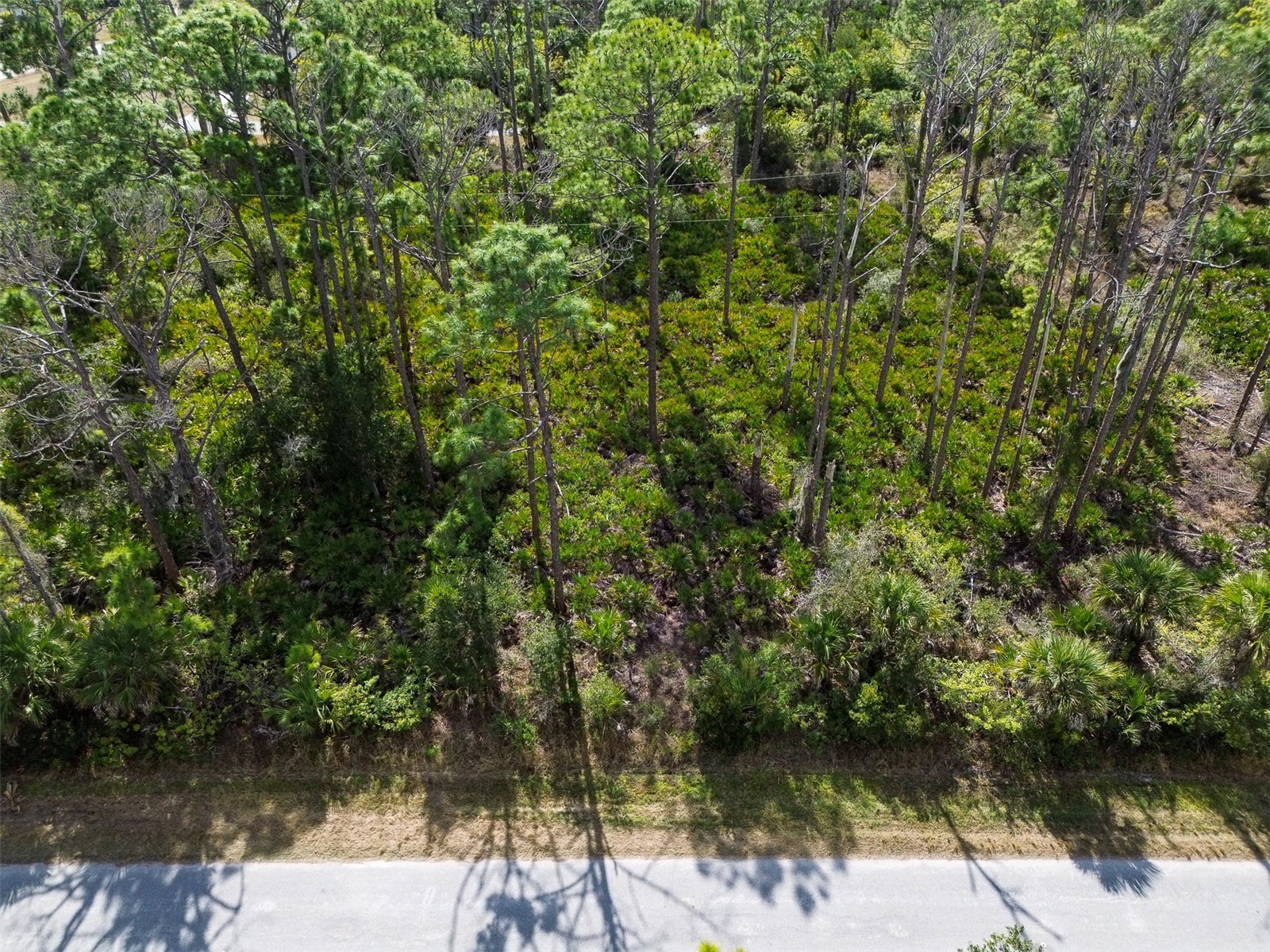 13345 Harth Avenue Port Charlotte FL 33953 C7520806 image10