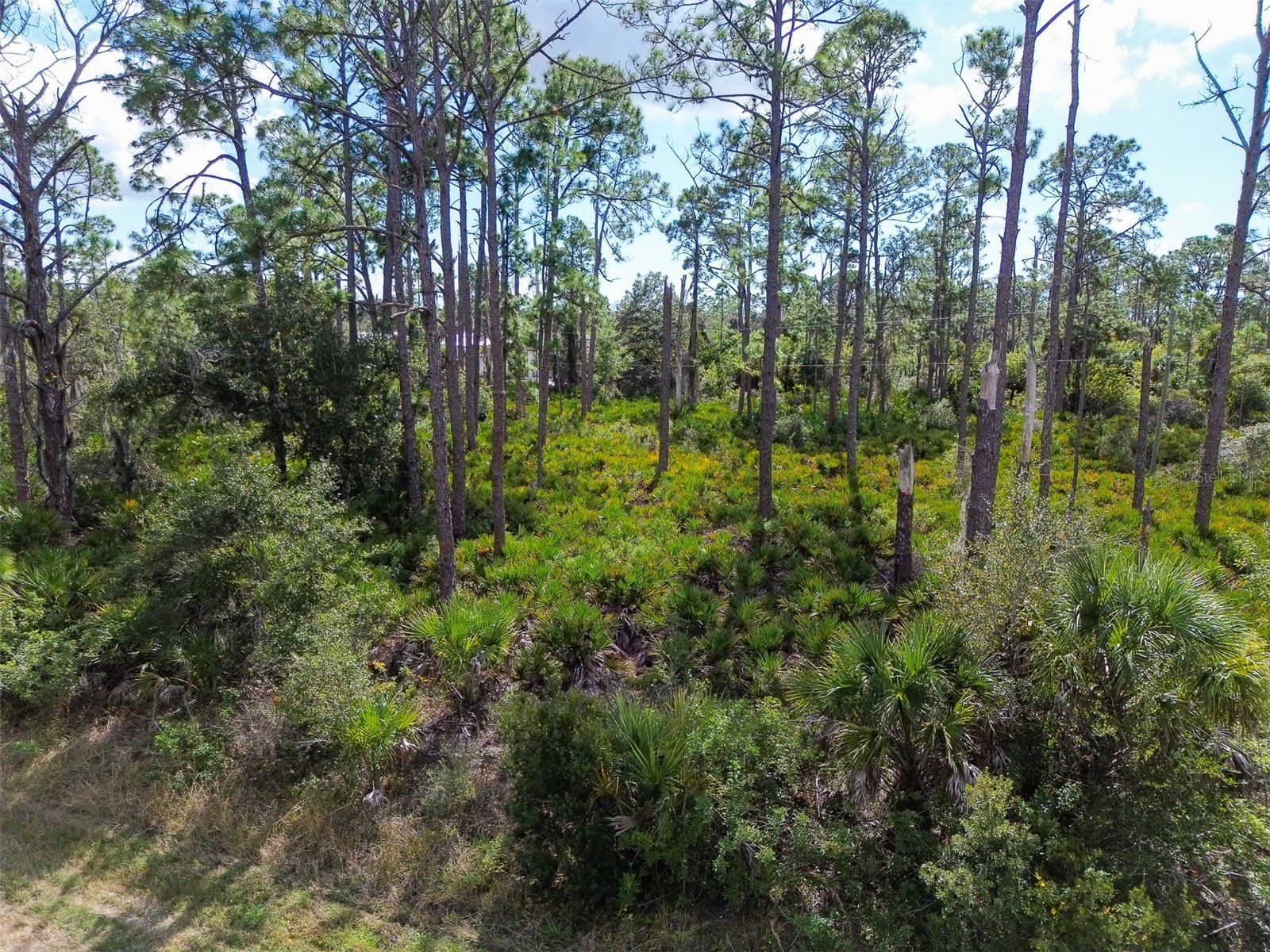 13345 Harth Avenue Port Charlotte FL 33953 C7520806 image12
