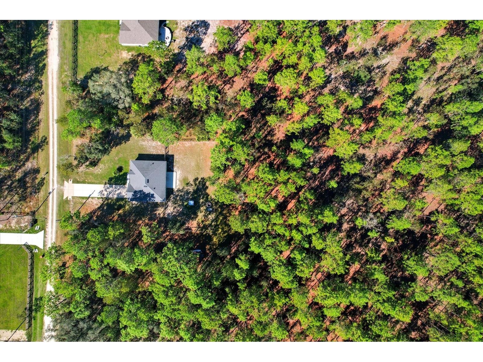 13345 SW 71st Lane Ocala FL 34481 OM711591 image13