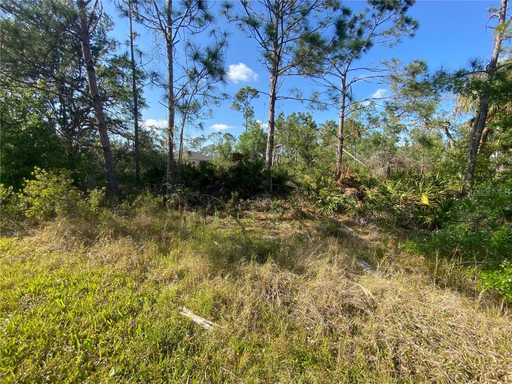 13346 Colborn Avenue Port Charlotte FL 33953 C7473497 image1