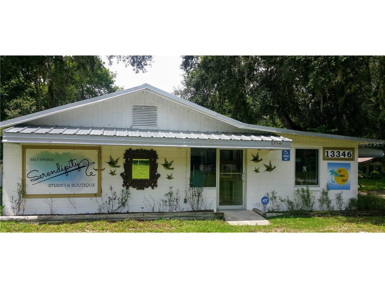 13346 N Highway 19 Salt Springs FL 32134 OM602898 image1