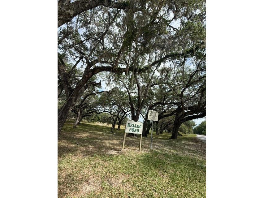 13346 SW 111 Lane Dunnellon FL 34432 OM725963 image32