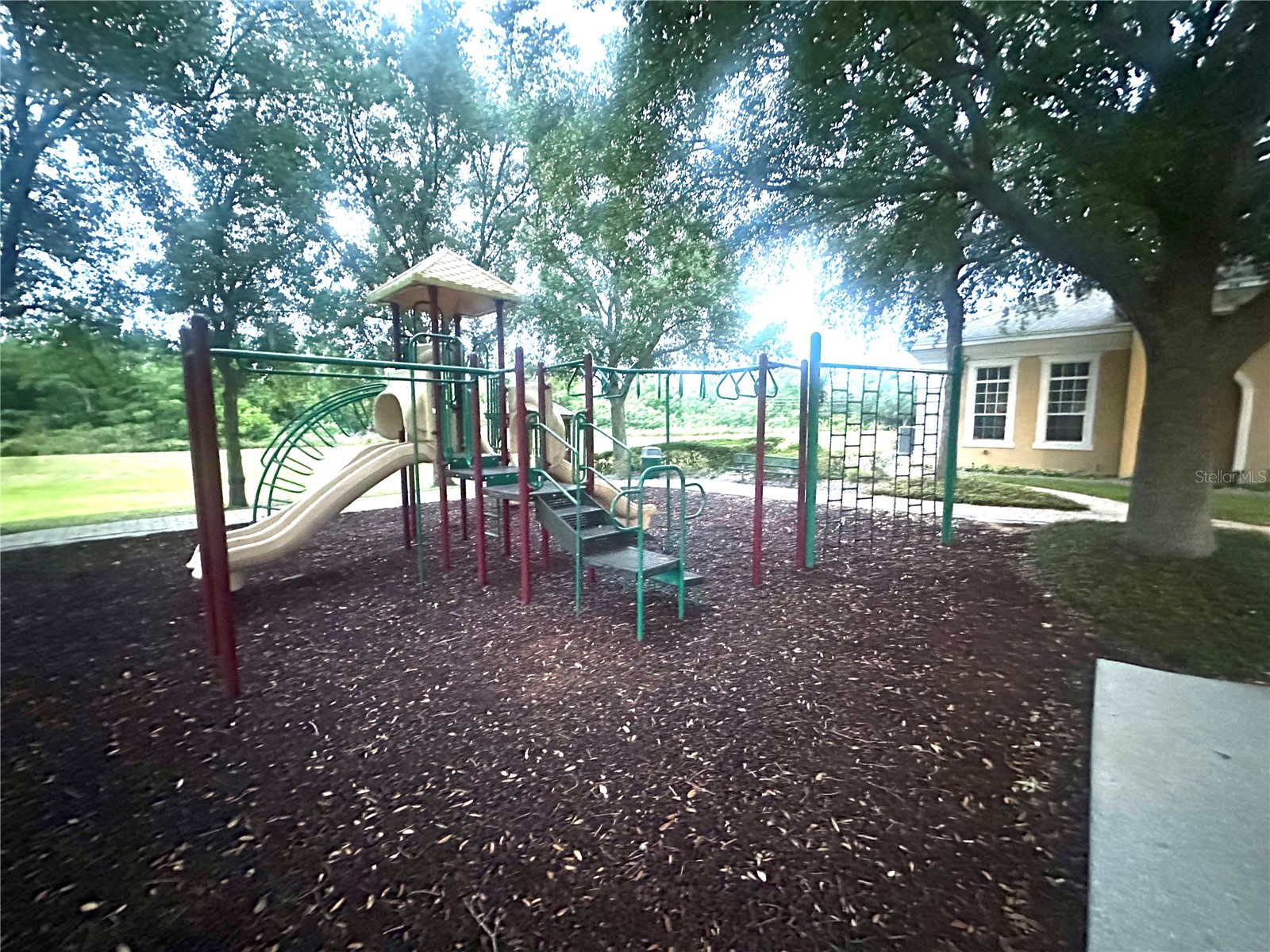13349 Harbor Shore Lane Winter Garden FL 34787 O6406385 image19