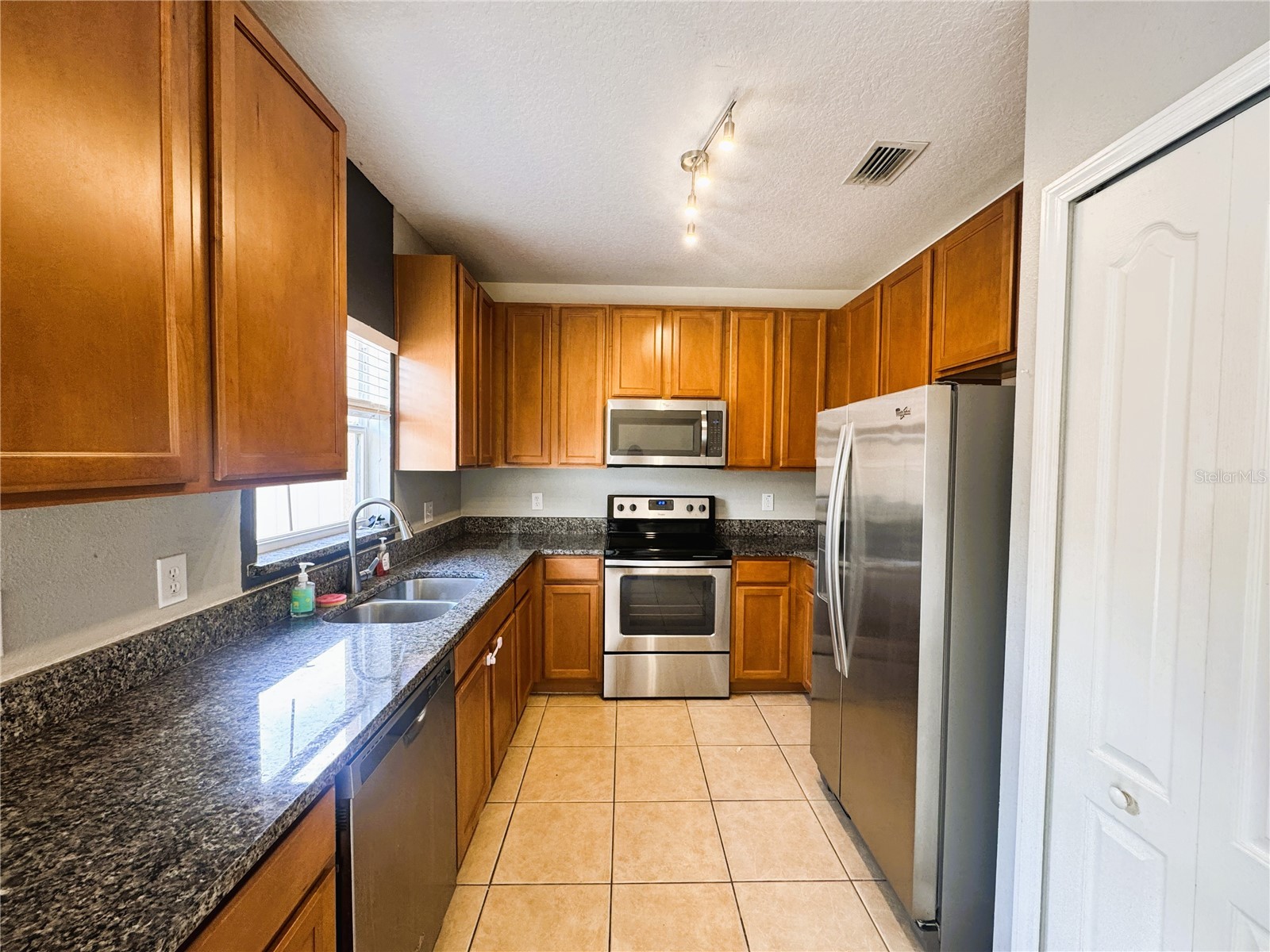 13349 Harbor Shore Lane Winter Garden FL 34787 O6406385 image3