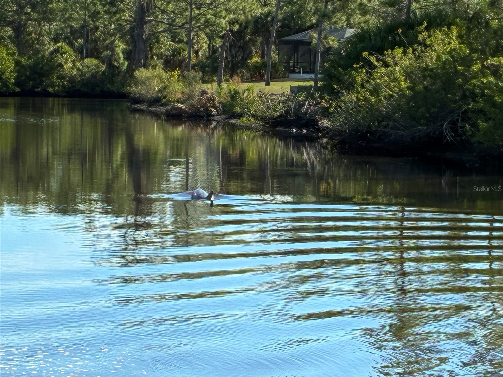 13349 Tolman Avenue Port Charlotte FL 33953 - INGERSOL WATERWAY D6145522 image11