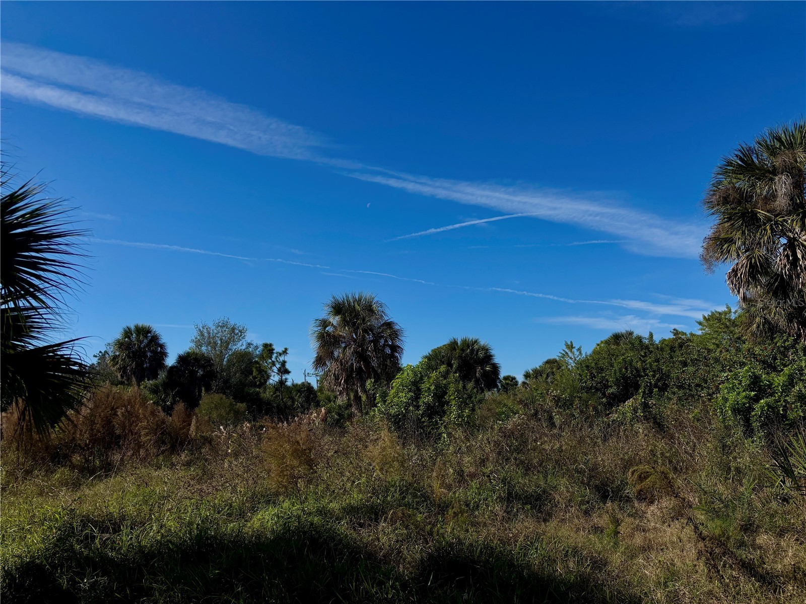 13349 Tolman Avenue Port Charlotte FL 33953 - INGERSOL WATERWAY D6145522 image5