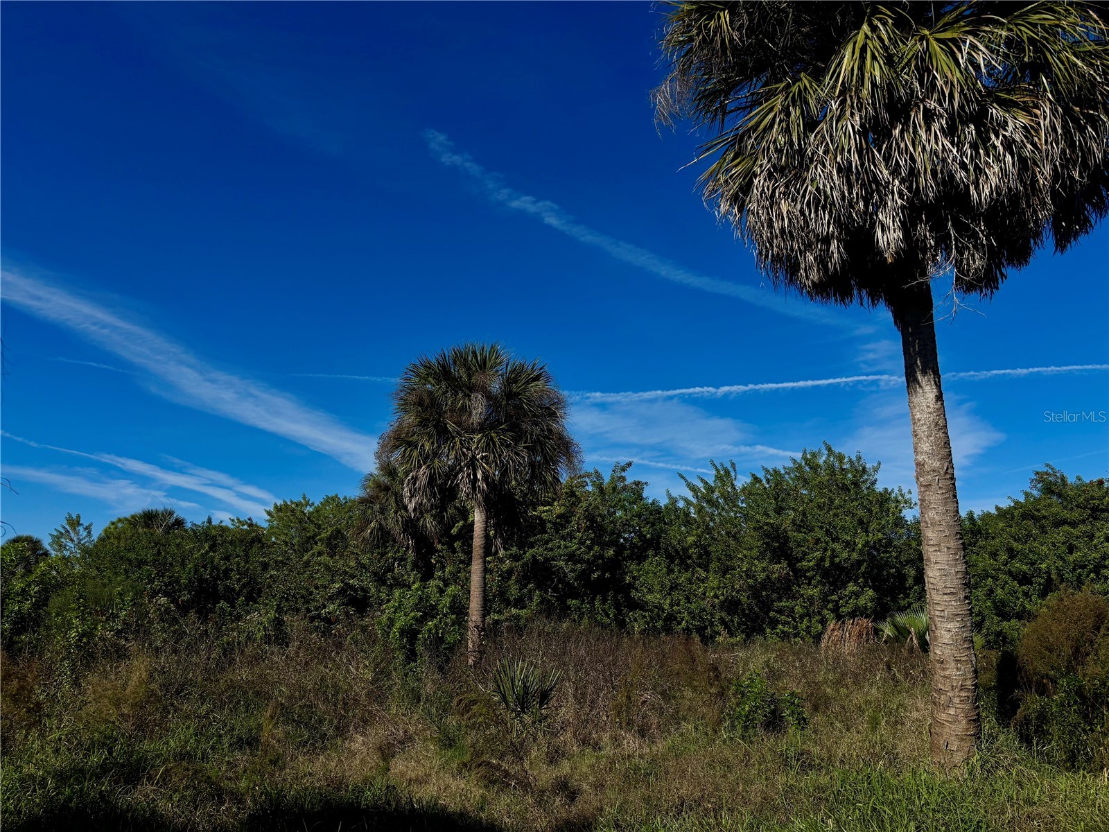 13349 Tolman Avenue Port Charlotte FL 33953 - INGERSOL WATERWAY D6145522 image6