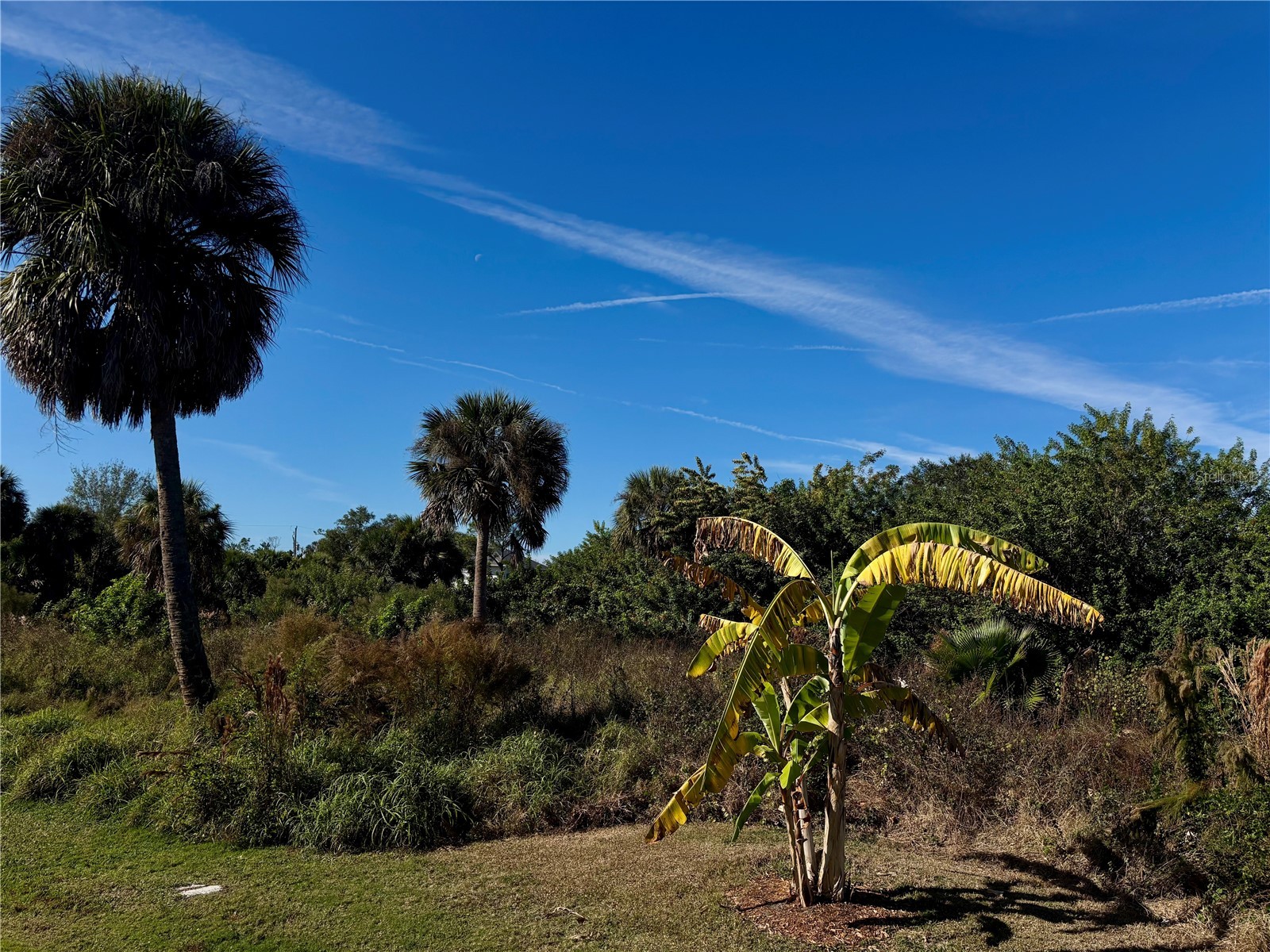 13349 Tolman Avenue Port Charlotte FL 33953 - INGERSOL WATERWAY D6145522 image8