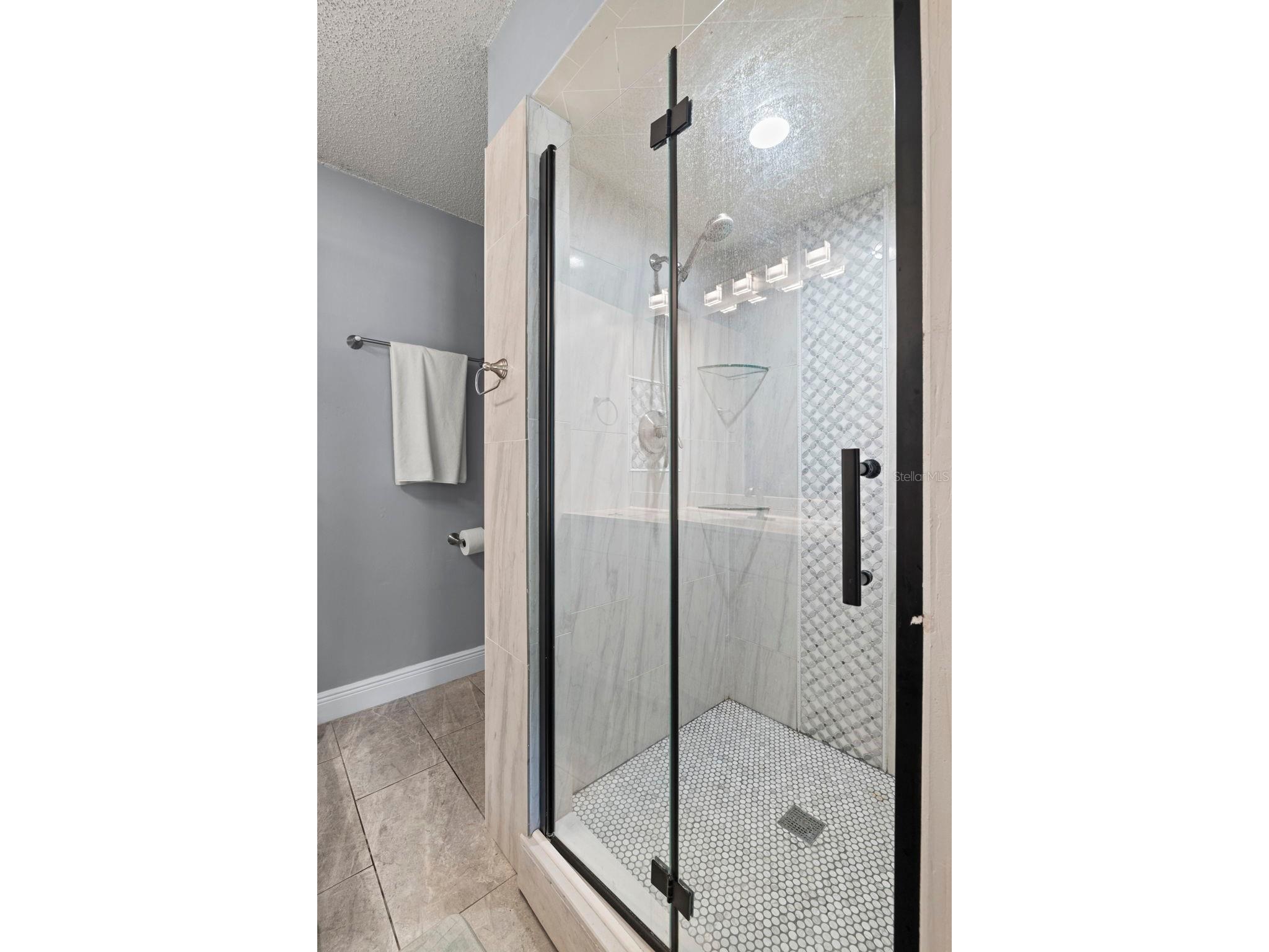 1335 15th Street Palm Harbor FL 34683 TB8523979 image19