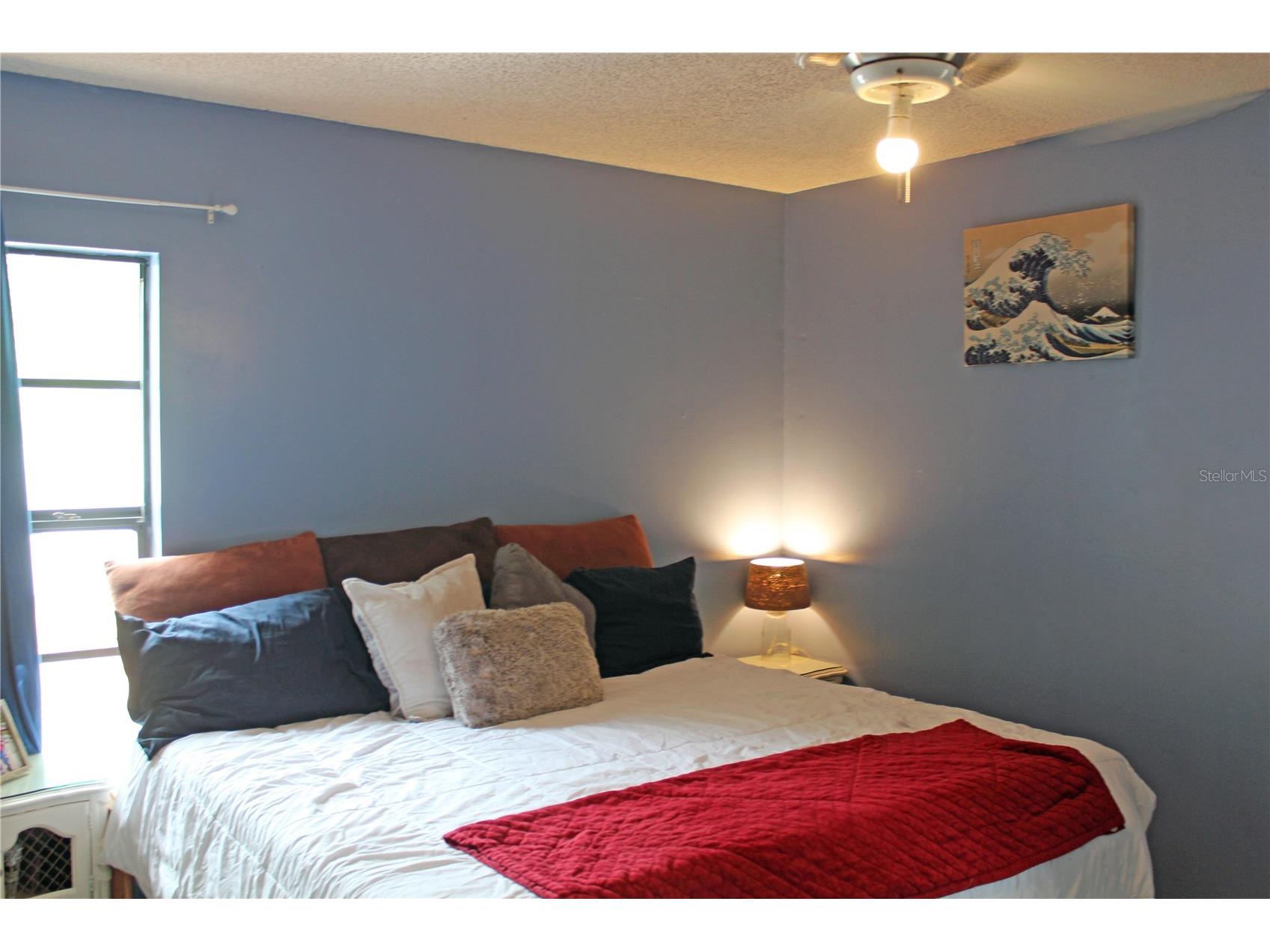 1335 15th Street Palm Harbor FL 34683 TB8523979 image20