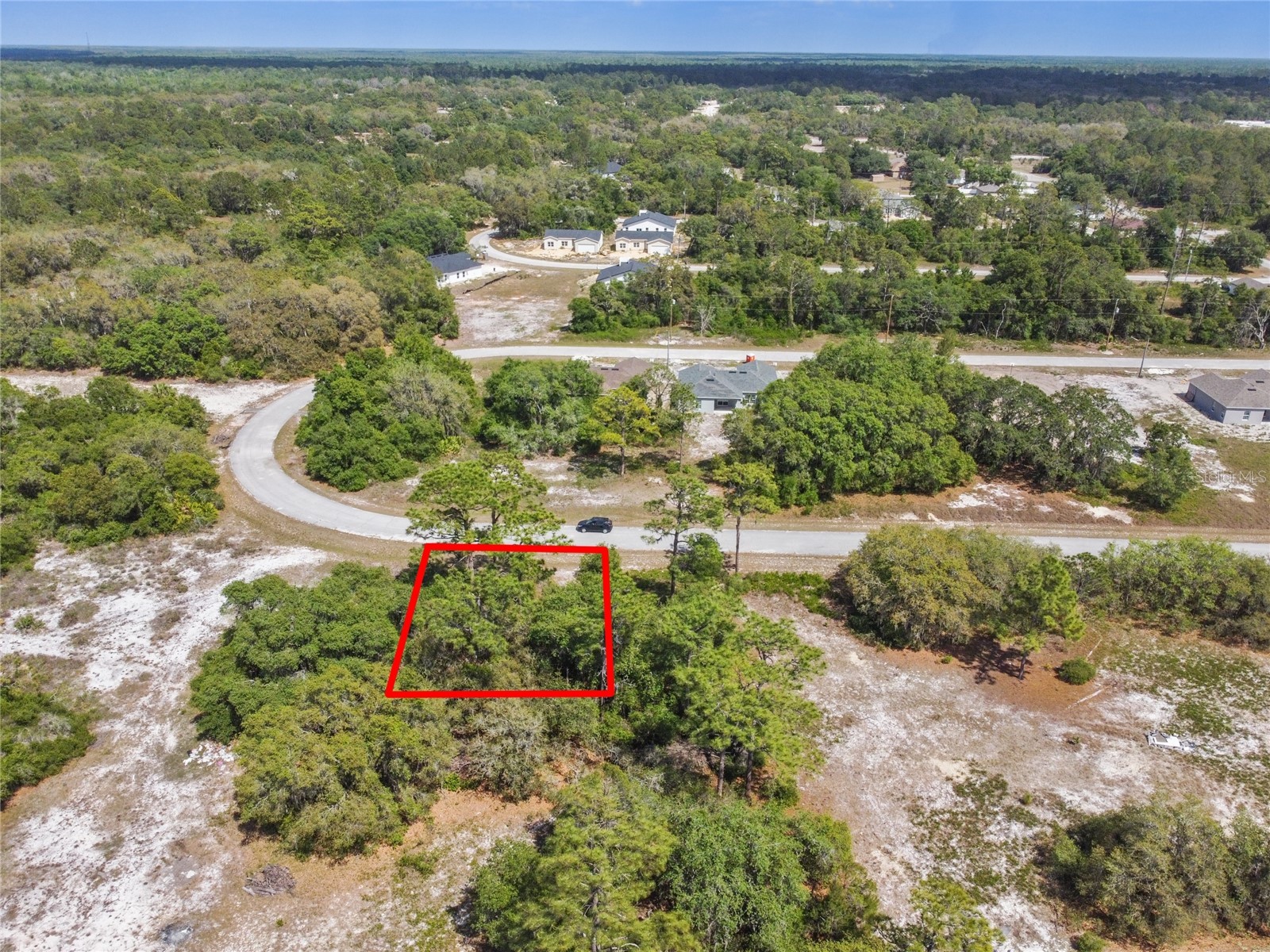 1335 Hillsborough Court Kissimmee FL 34759 O6374388 image3