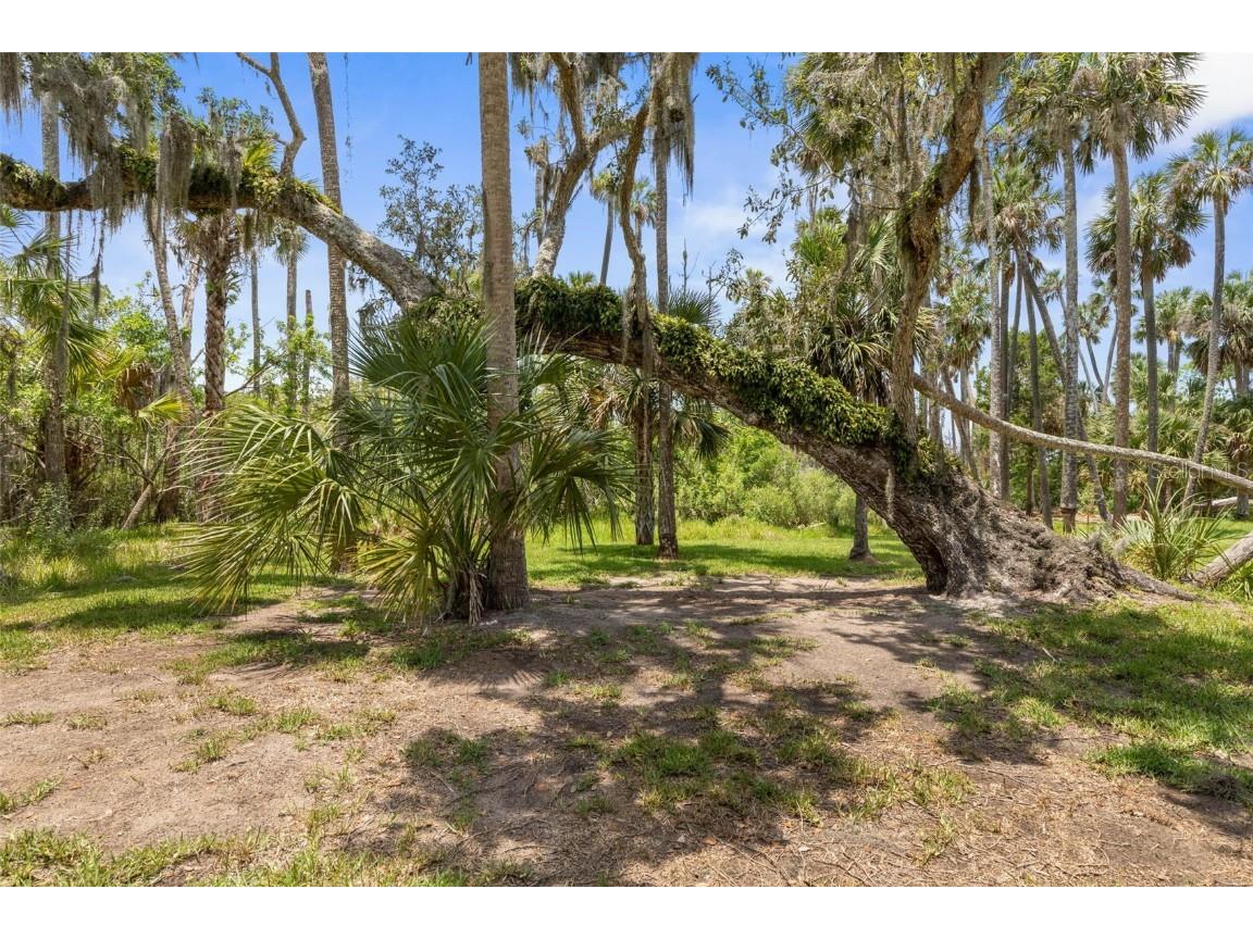 1335 Lambert Avenue Flagler Beach FL 32136 FC310041 image65