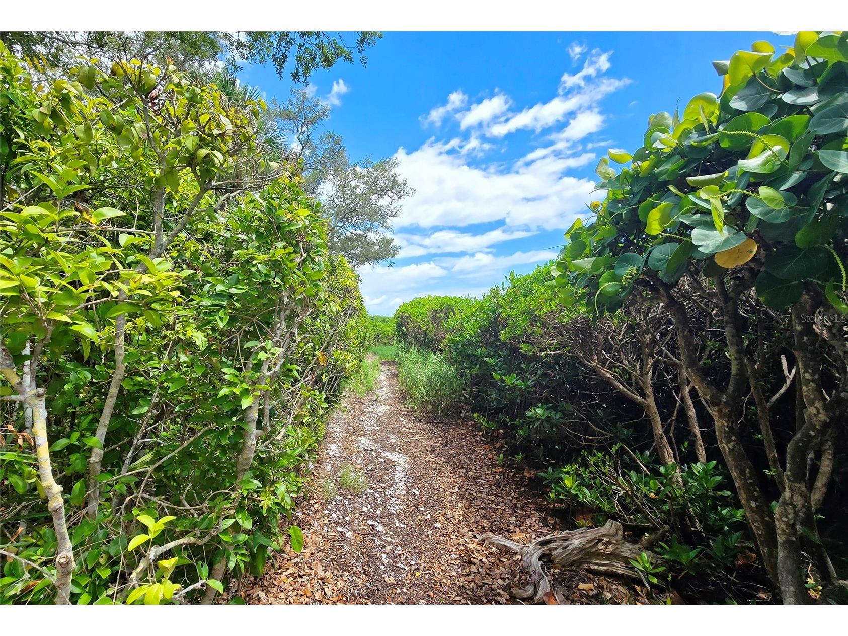 1335 Landings Drive #9 Sarasota FL 34231 - ROBERTS BAY A4694217 image34