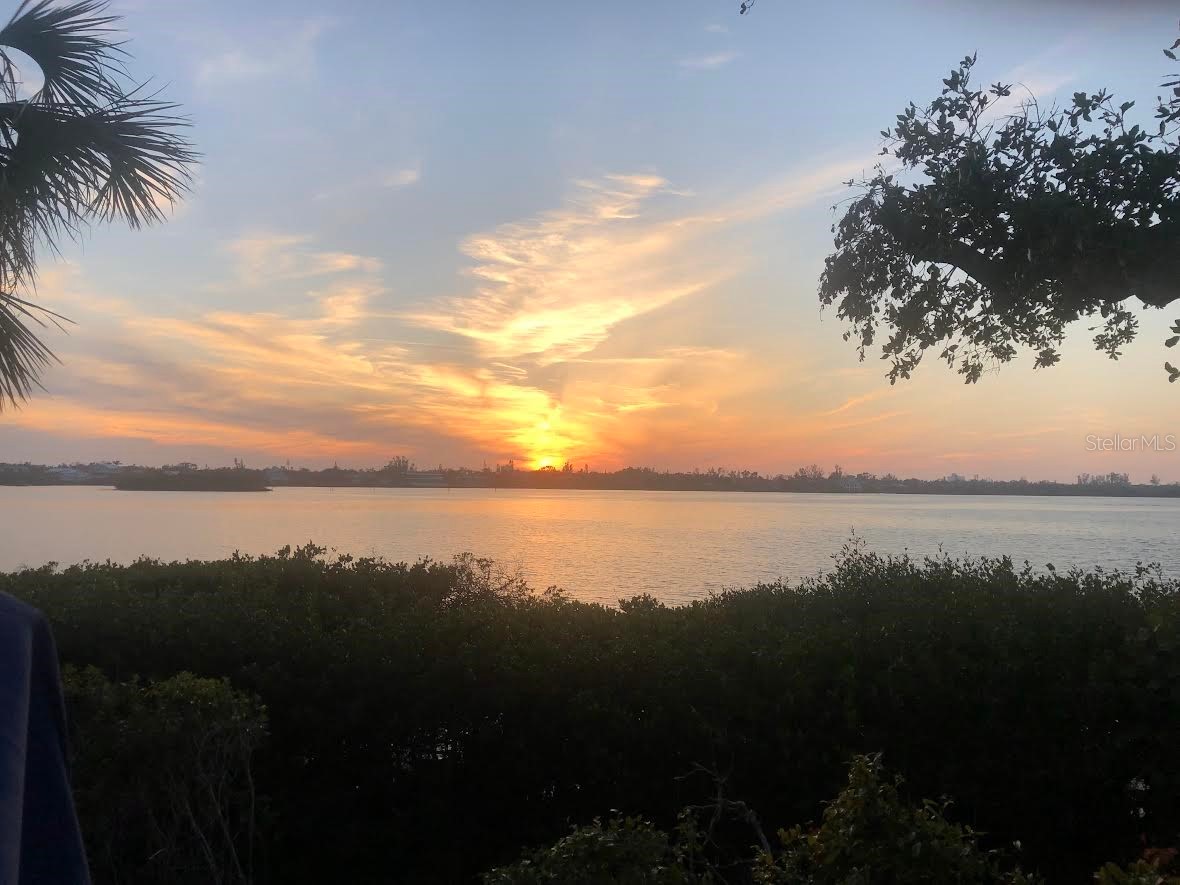 1335 Landings Drive #9 Sarasota FL 34231 - ROBERTS BAY A4694217 image8
