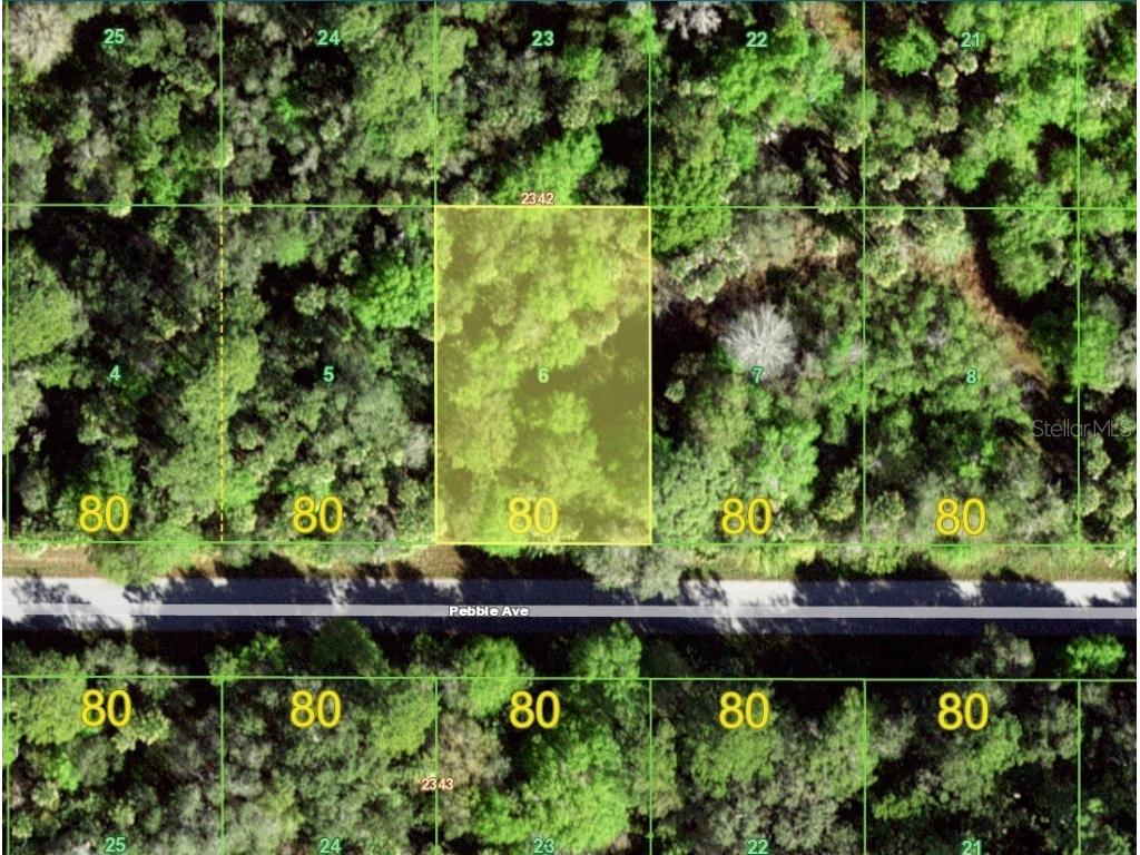 13350 Pebble Avenue Port Charlotte FL 33953 D6131119 image1