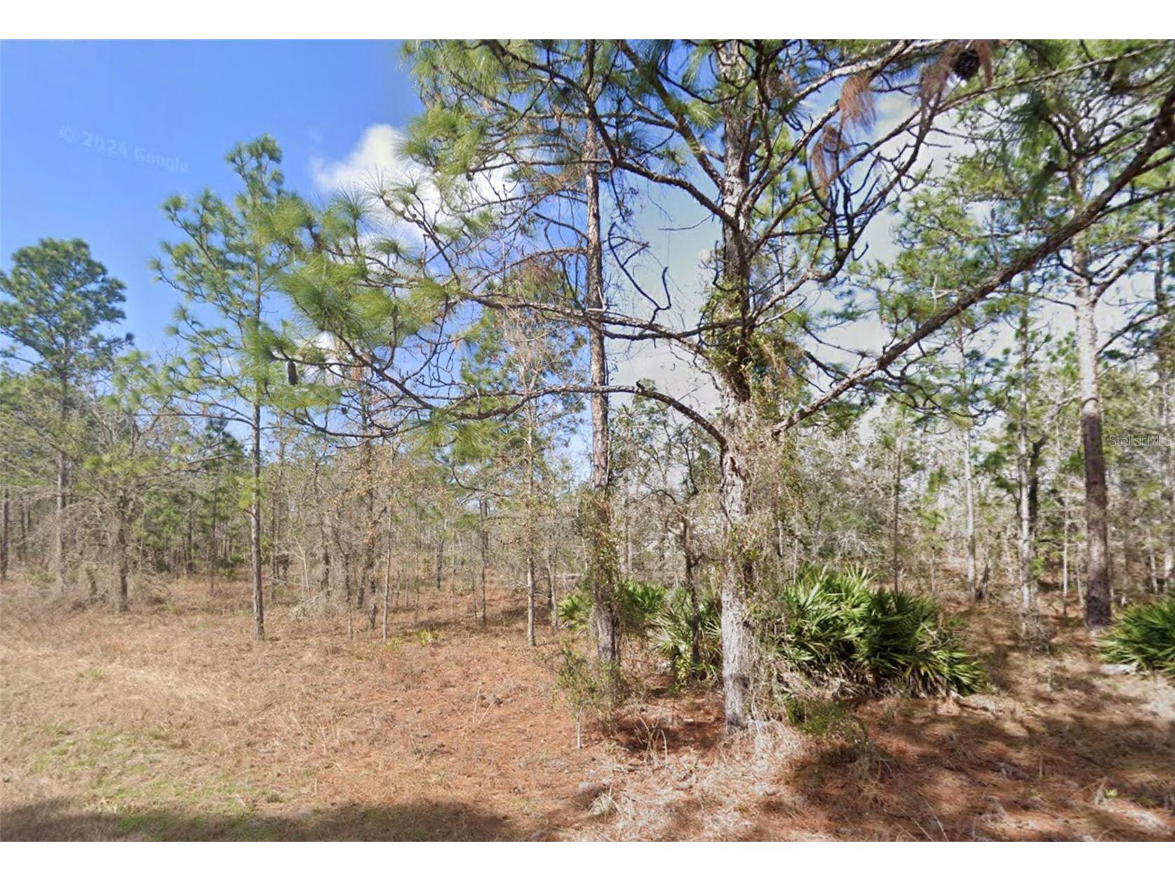 13351 Schick Avenue Brooksville FL 34614 W7884838 image1