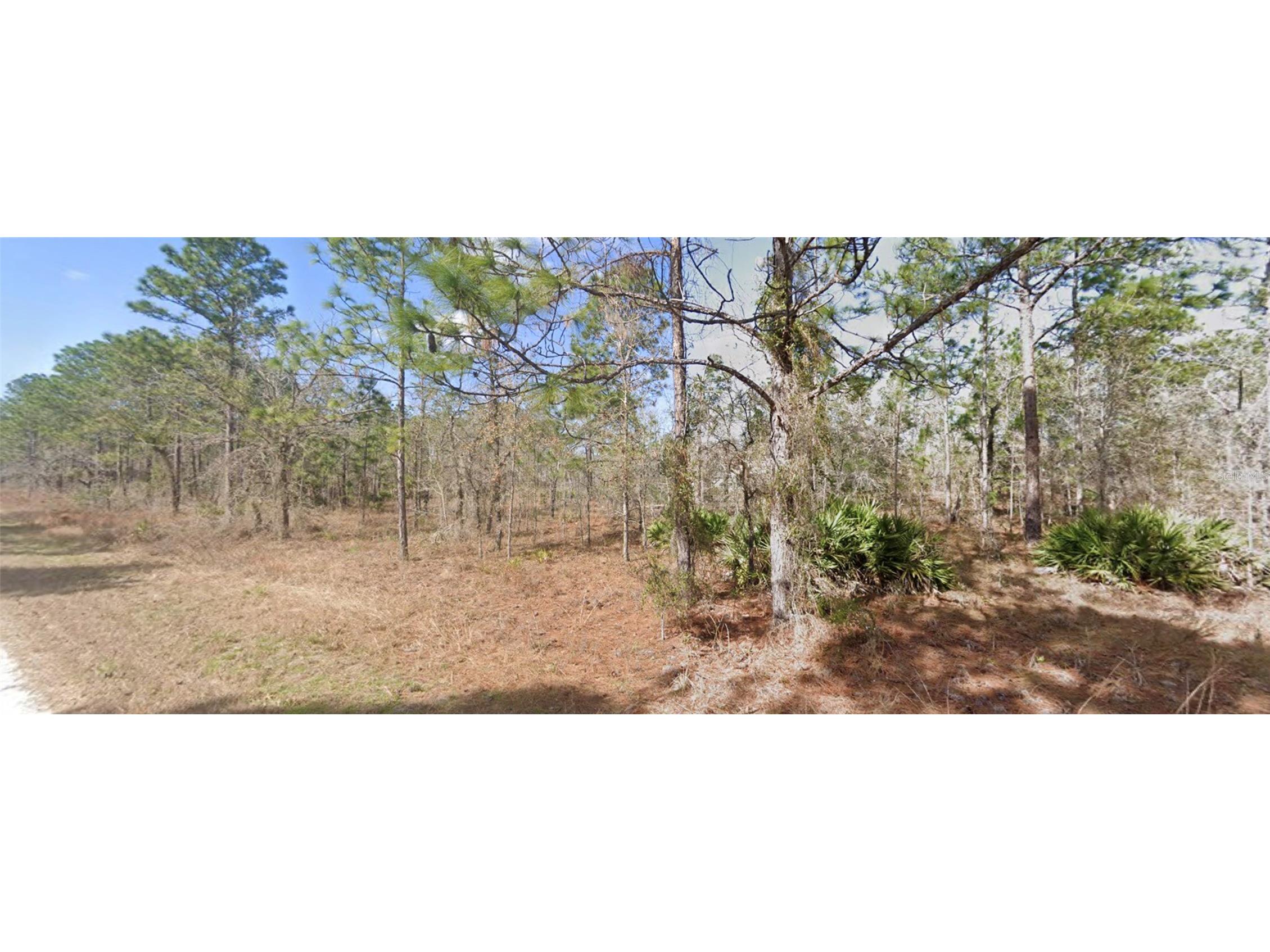 13351 Schick Avenue Brooksville FL 34614 W7884838 image3