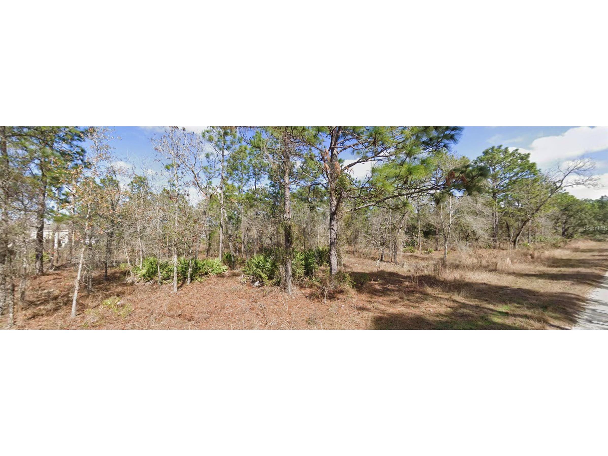 13351 Schick Avenue Brooksville FL 34614 W7884838 image4