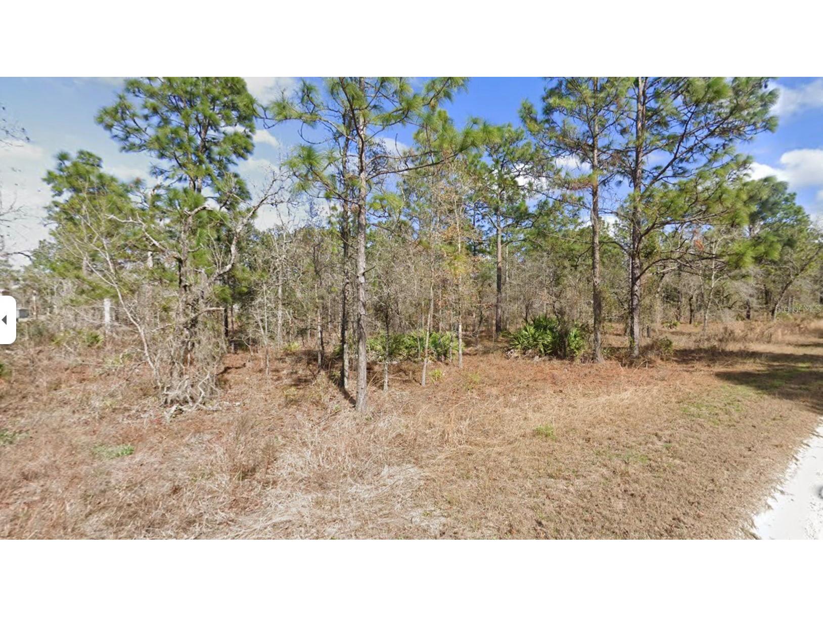 13351 Schick Avenue Brooksville FL 34614 W7884838 image6