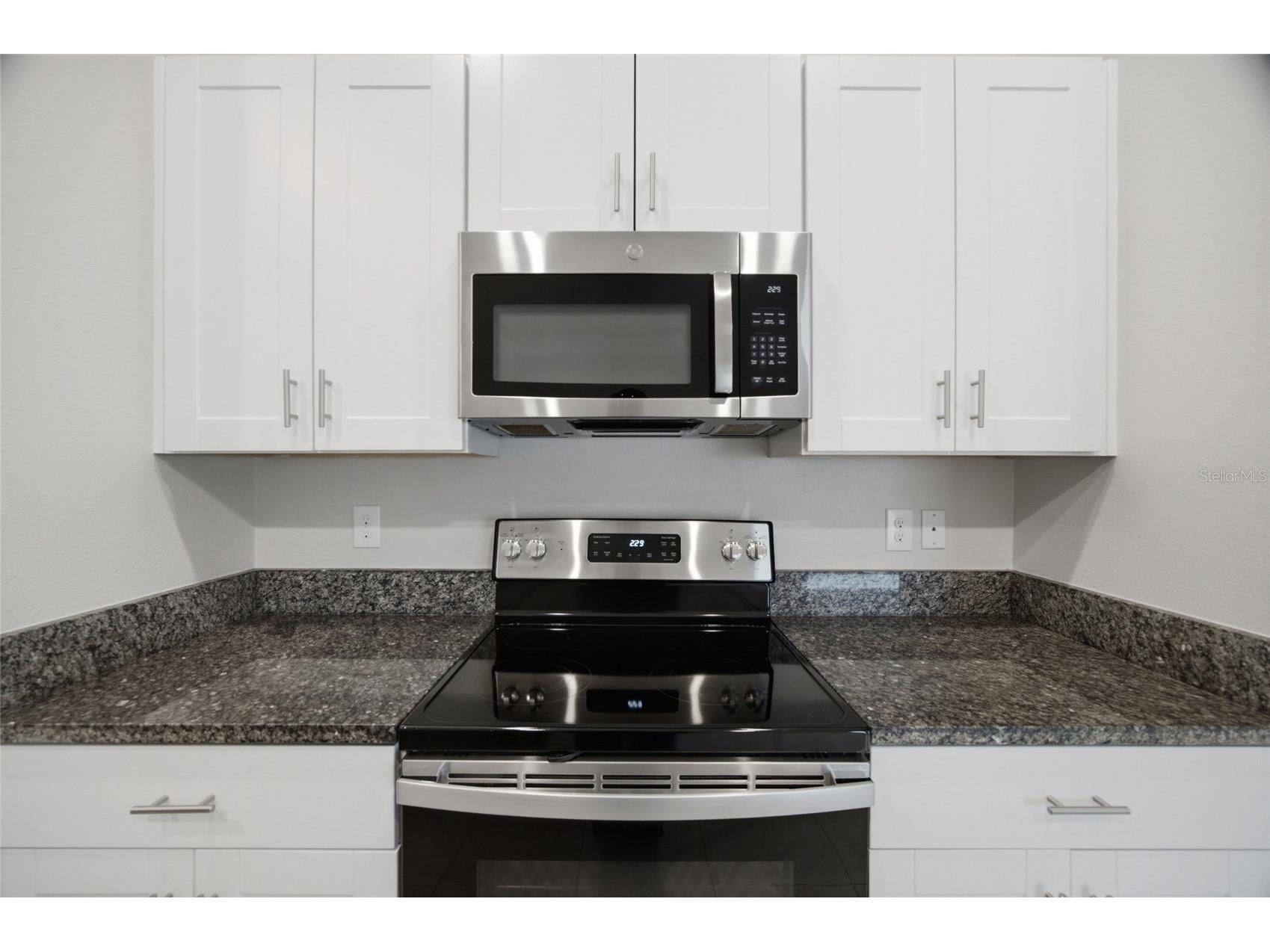 13351 Willow Bluestar Loop Riverview FL 33579 TB8526094 image11