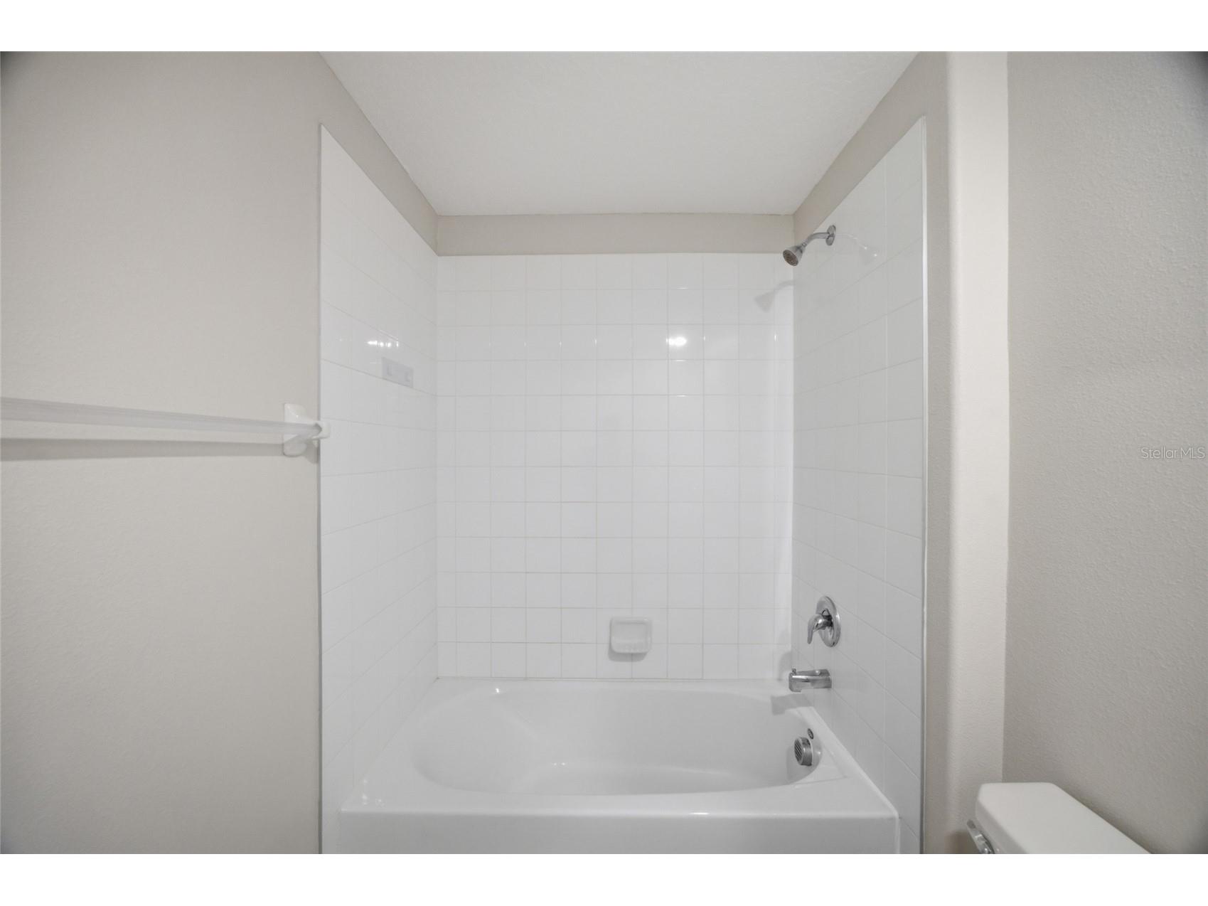 13351 Willow Bluestar Loop Riverview FL 33579 TB8526094 image23