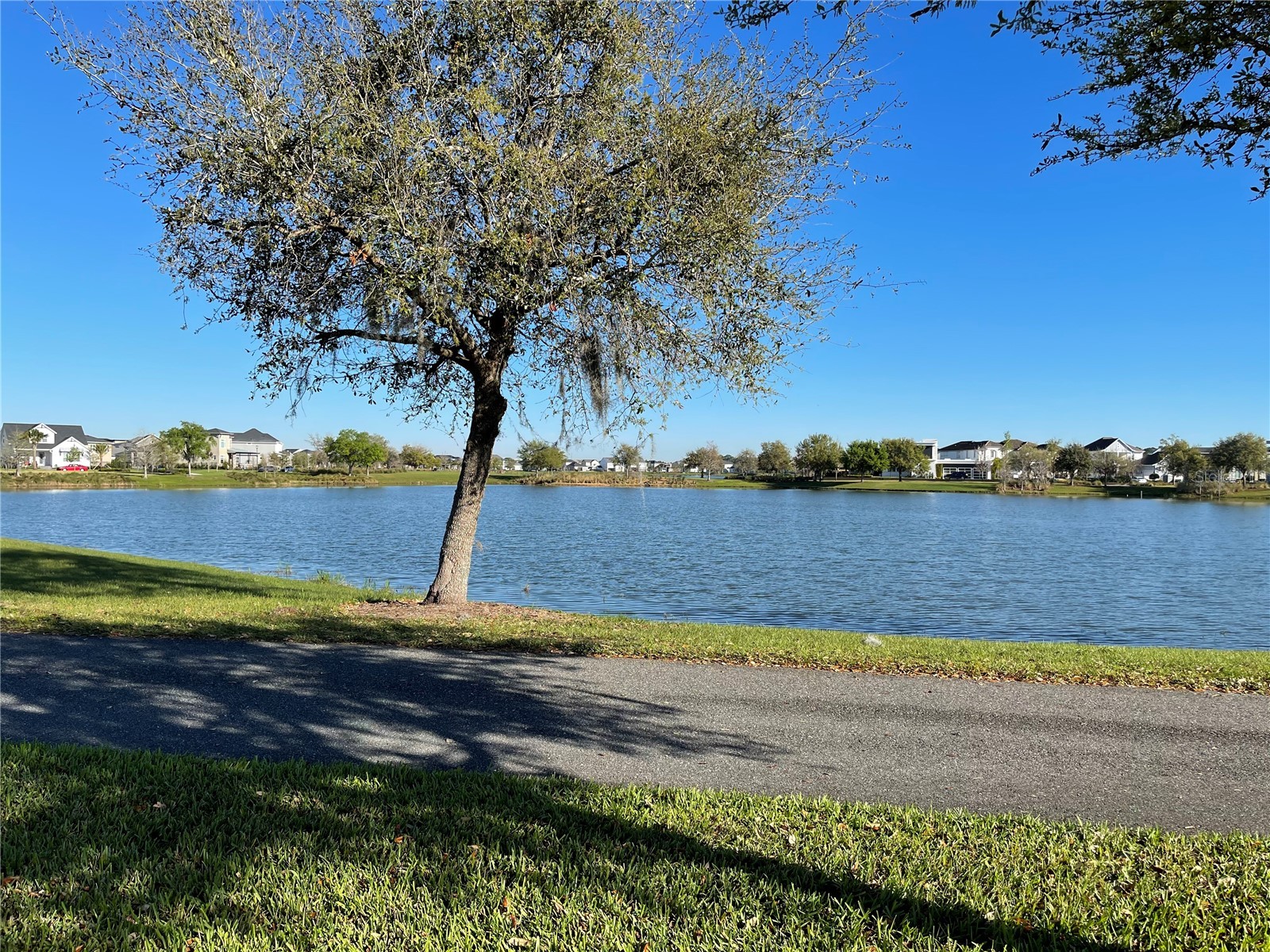 13352 Leggett Alley Orlando FL 32827 O6382427 image41