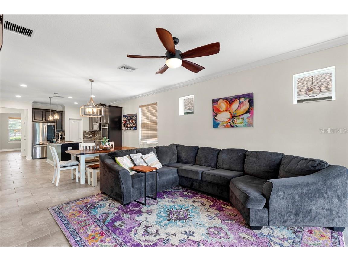 13352 Palmera Vista Drive Riverview FL 33579 TB8400322 image23