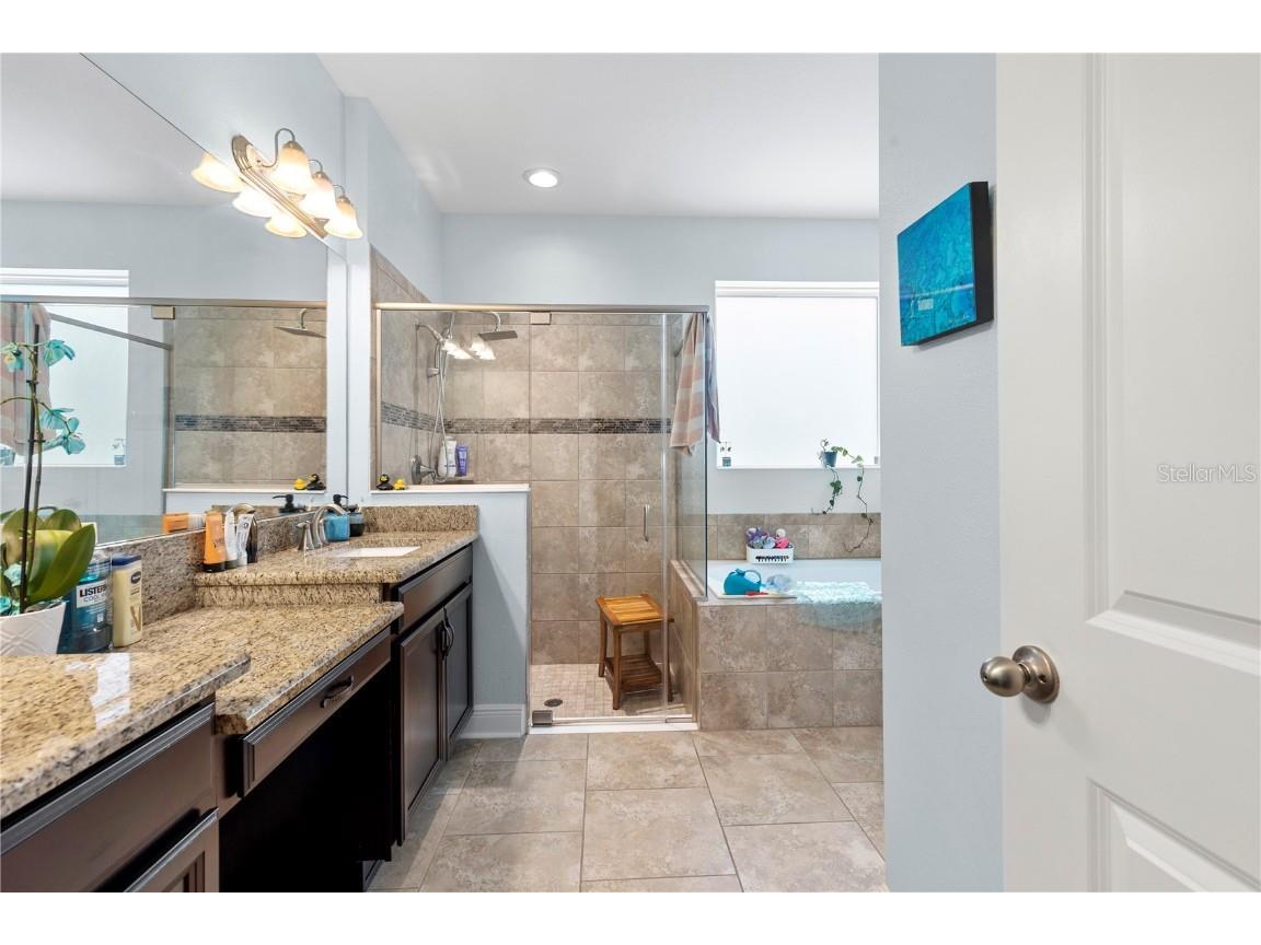 13352 Palmera Vista Drive Riverview FL 33579 TB8400322 image25