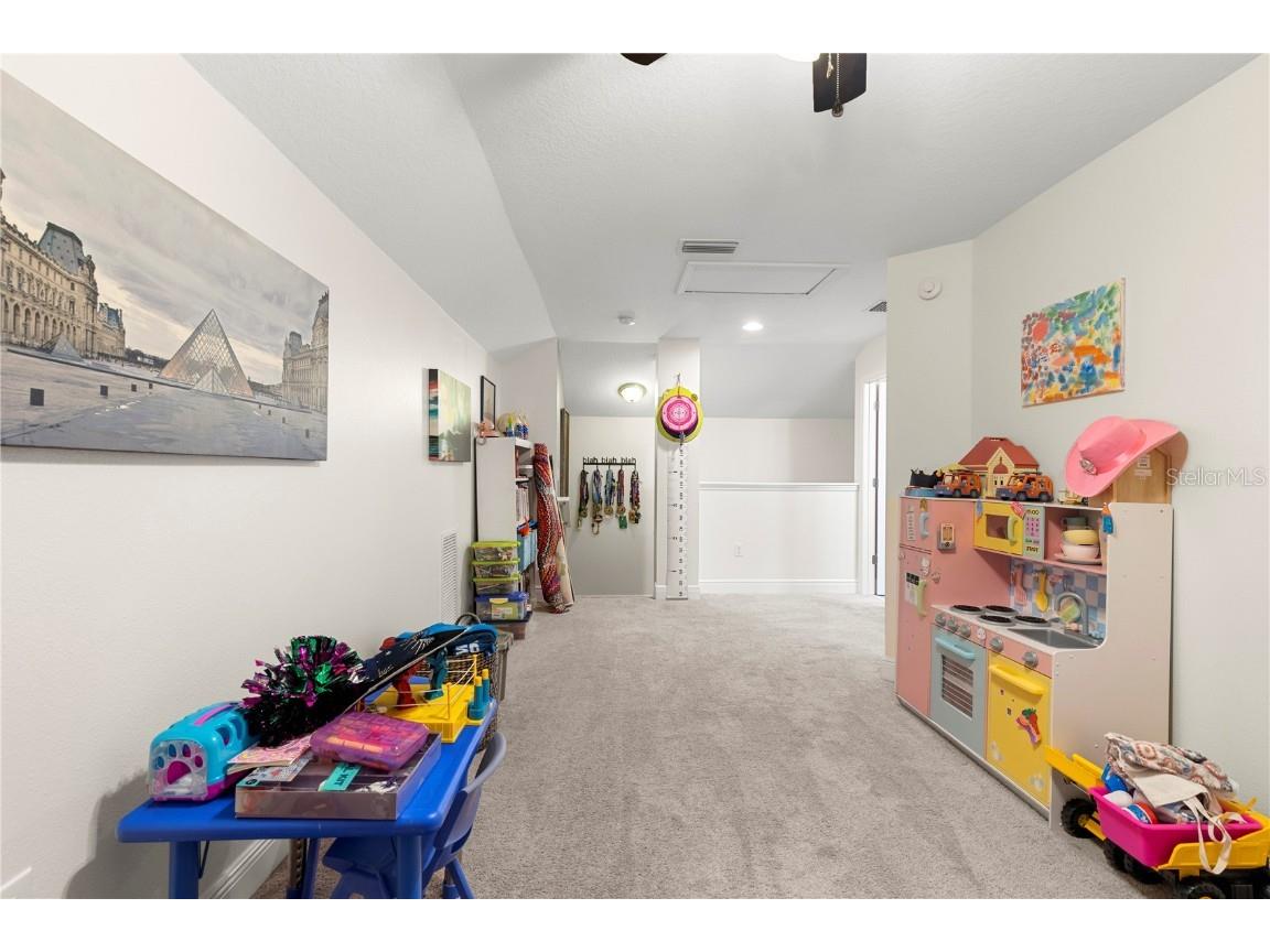 13352 Palmera Vista Drive Riverview FL 33579 TB8400322 image36