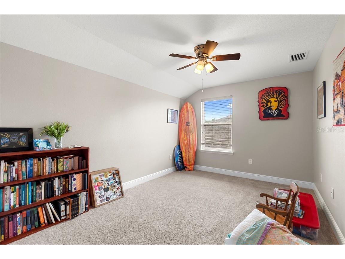 13352 Palmera Vista Drive Riverview FL 33579 TB8400322 image37