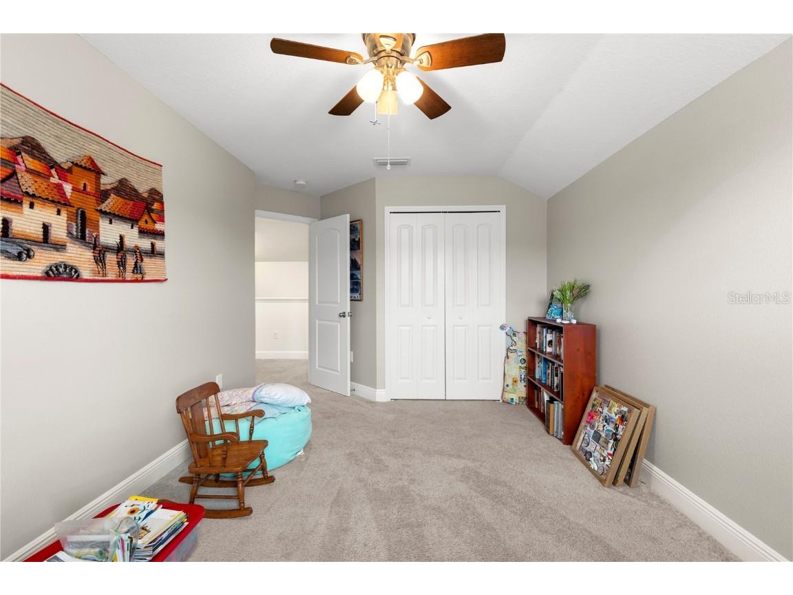 13352 Palmera Vista Drive Riverview FL 33579 TB8400322 image38